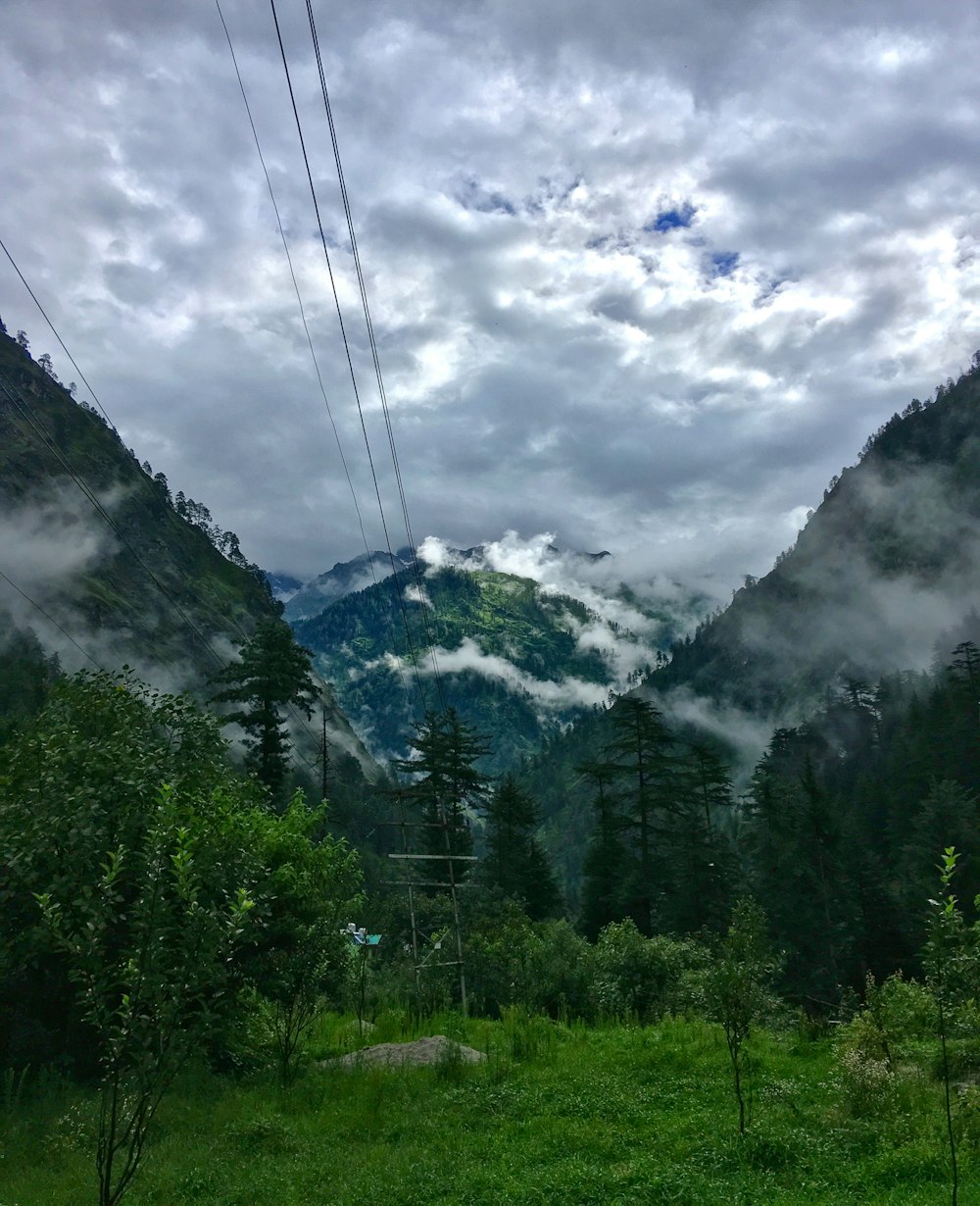 un champ herbeux avec une montagne en arrière-plan