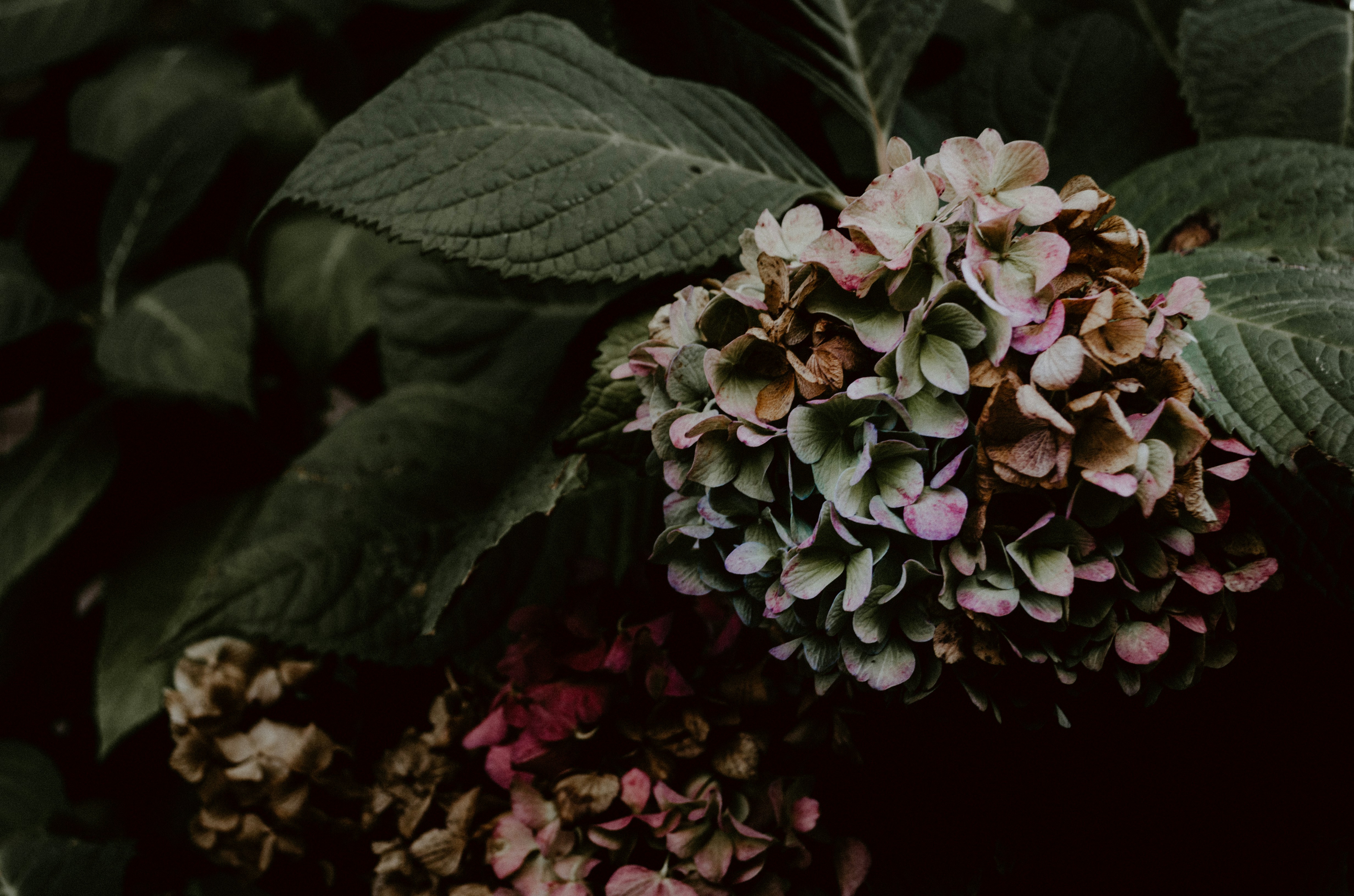 Photo by kellysikkema