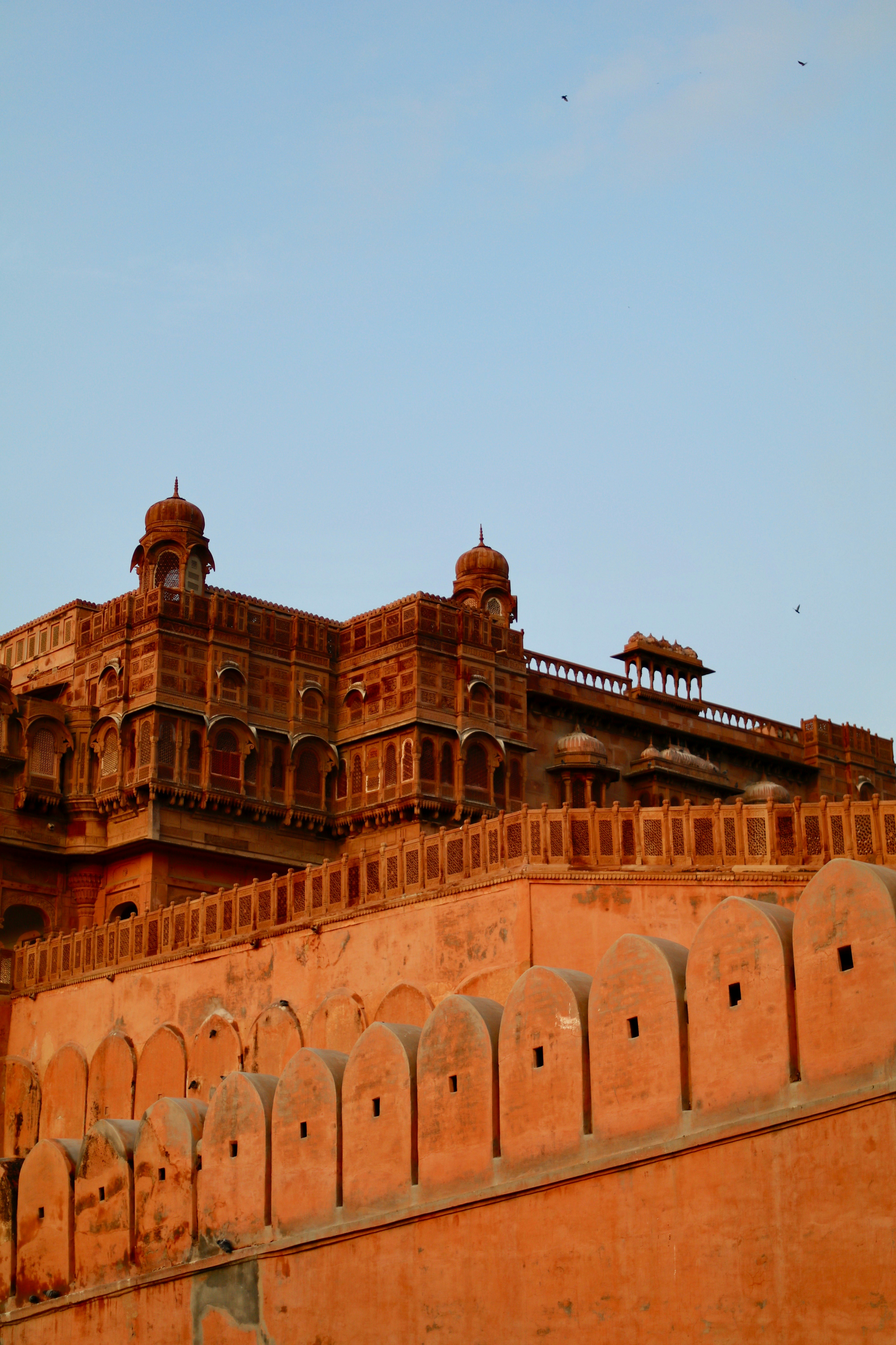 Photo by arnaudgillard