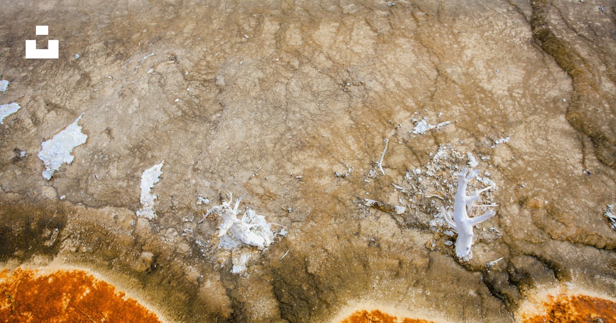 An Aerial View Of A Brown And White Substance Photo Free Brown Image an-aerial-view-of-a-brown-and-white-substance-photo-free-brown-image