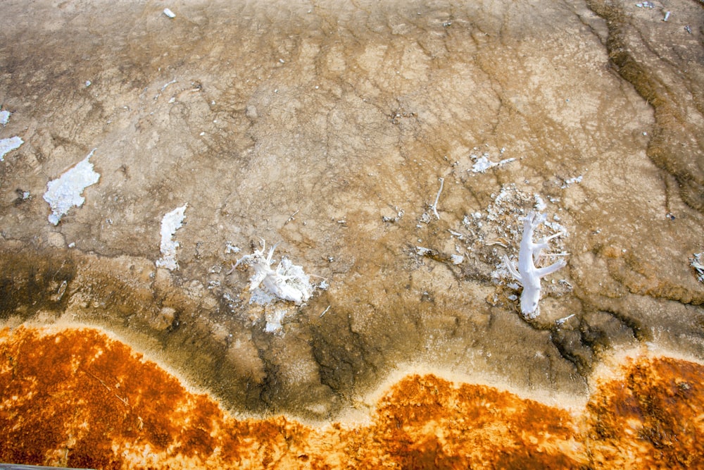 an aerial view of a brown and white substance