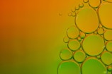 Specialty Chemicals