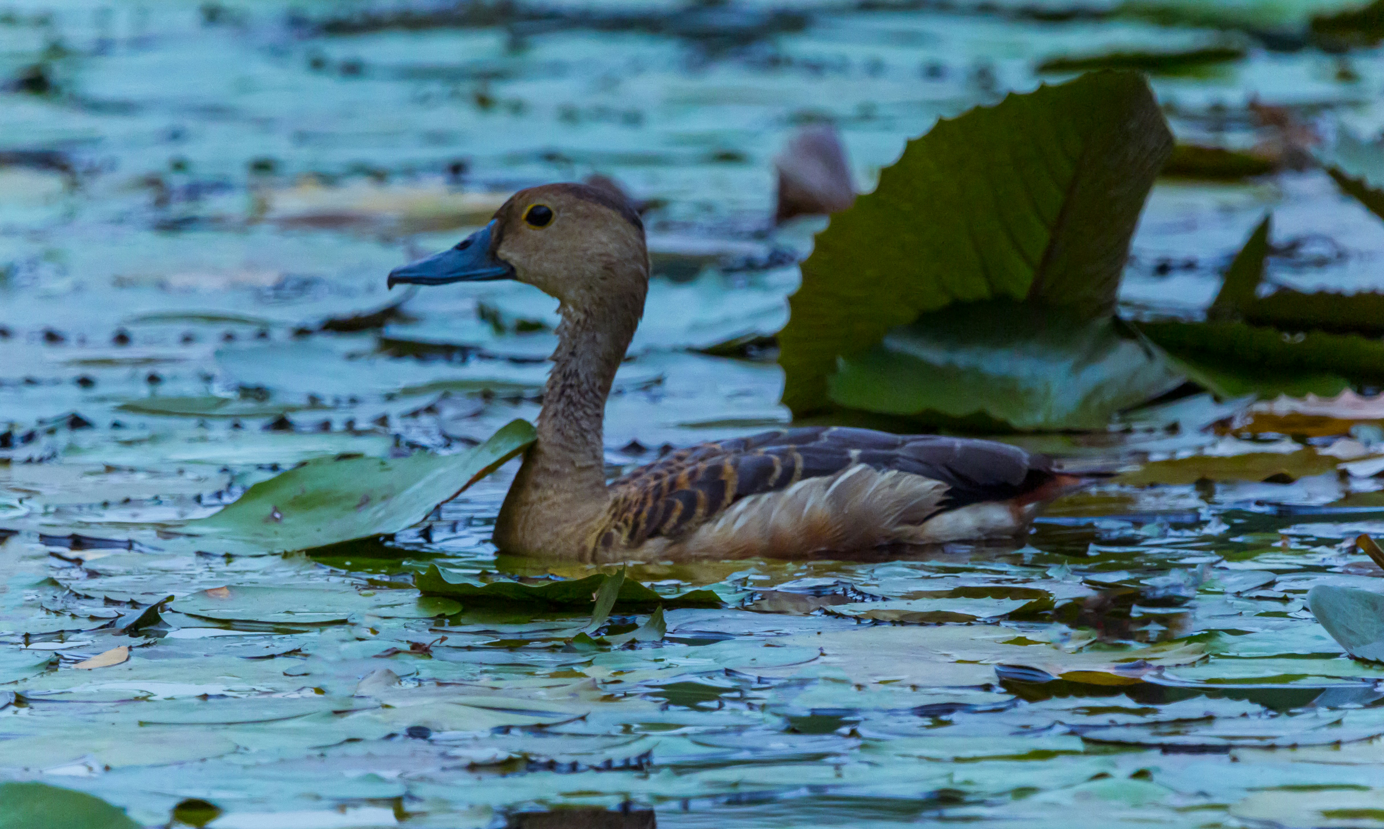 Photo by wildandbeyondbyvivek