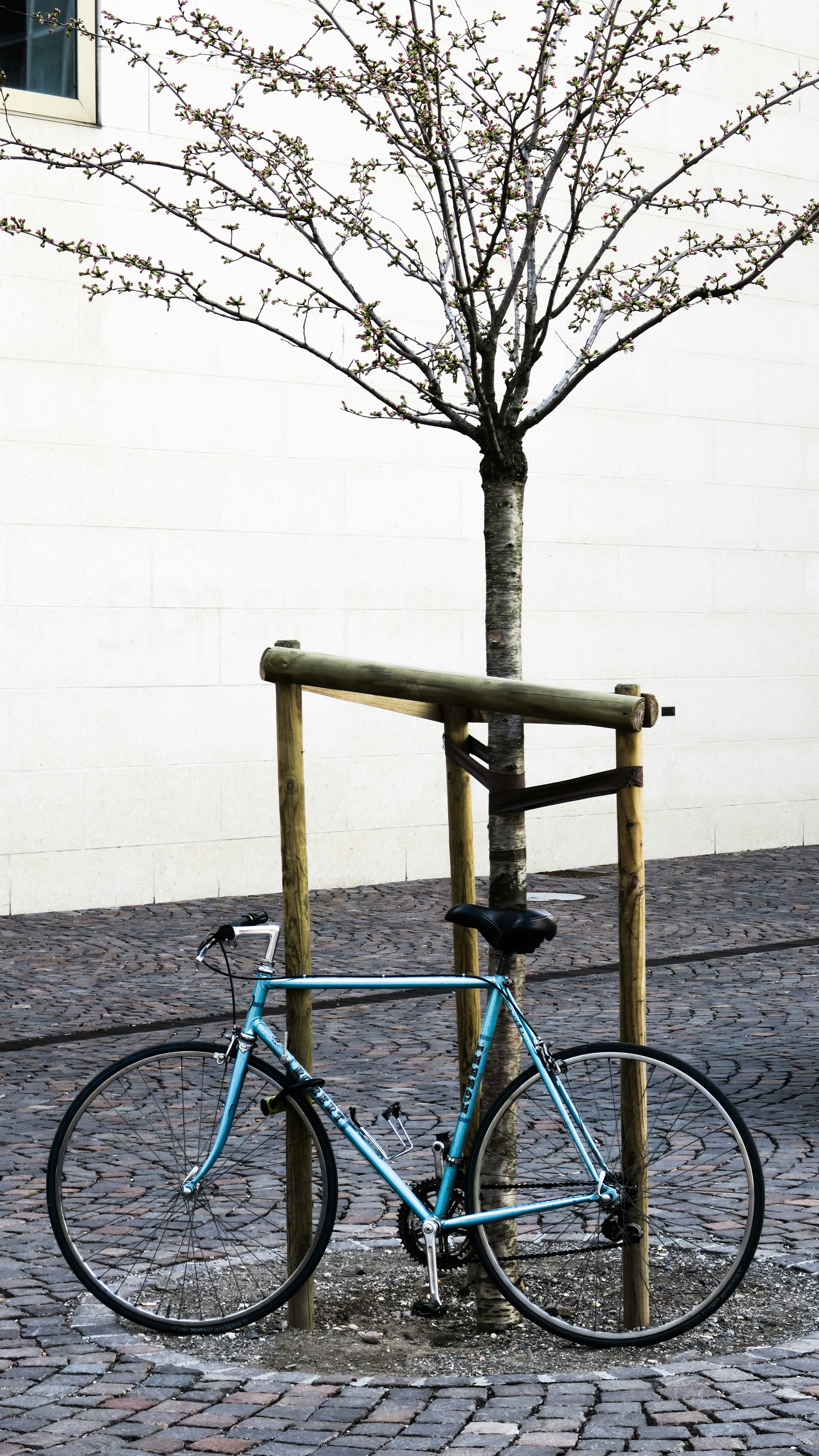 Photo by wilhelmgunkel