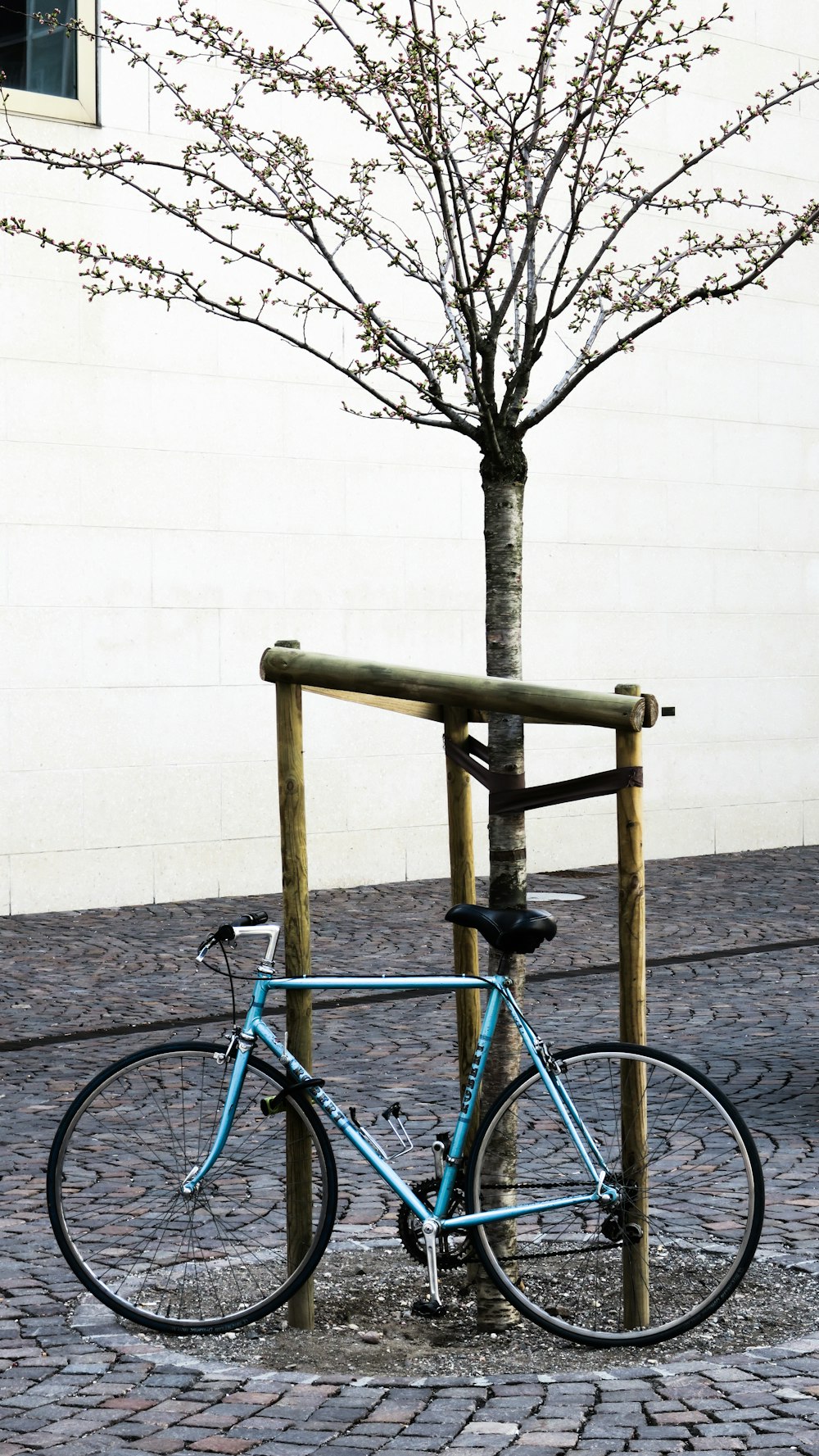road bike parked beside tree