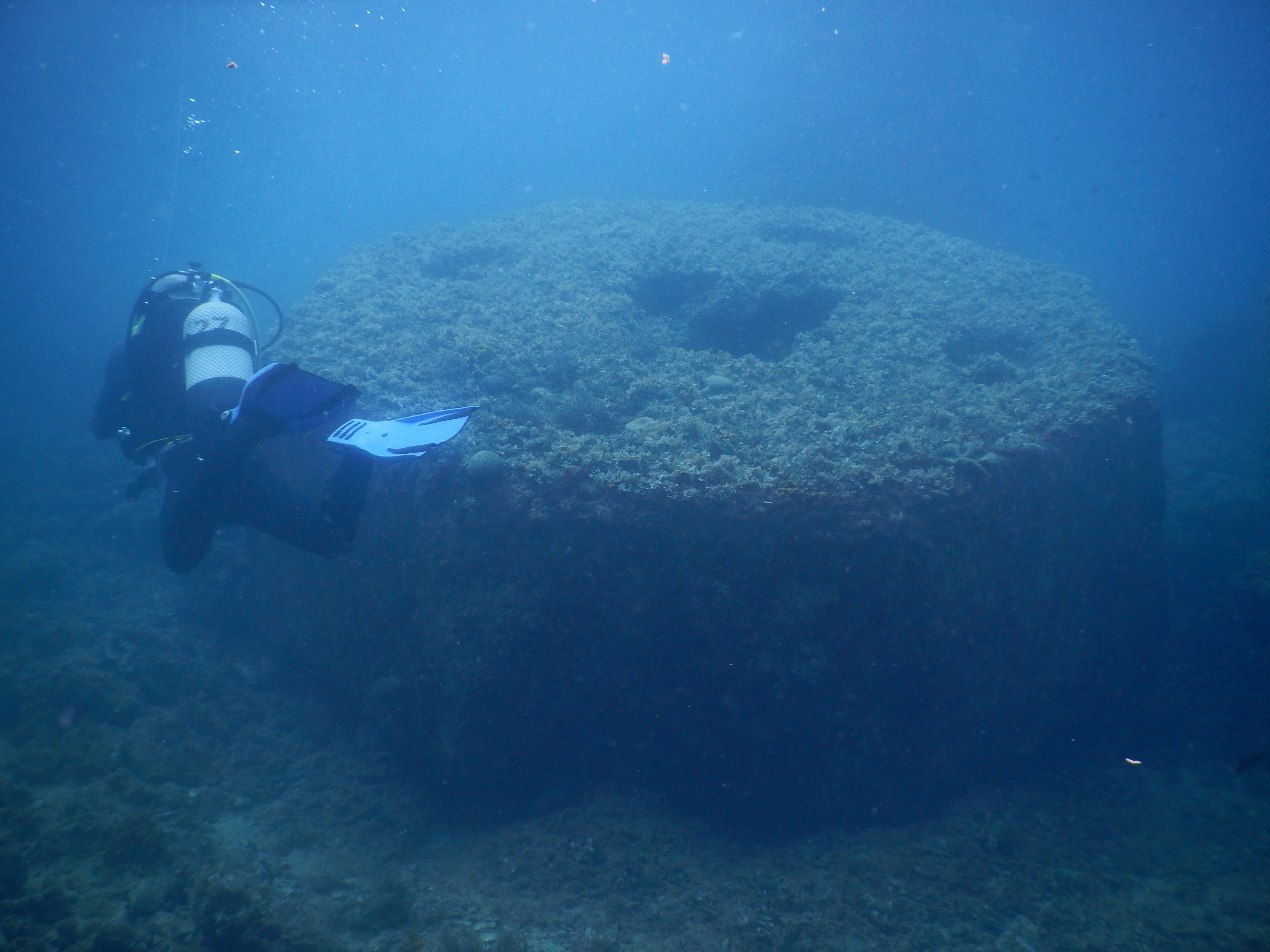 man diving underwater near round structure