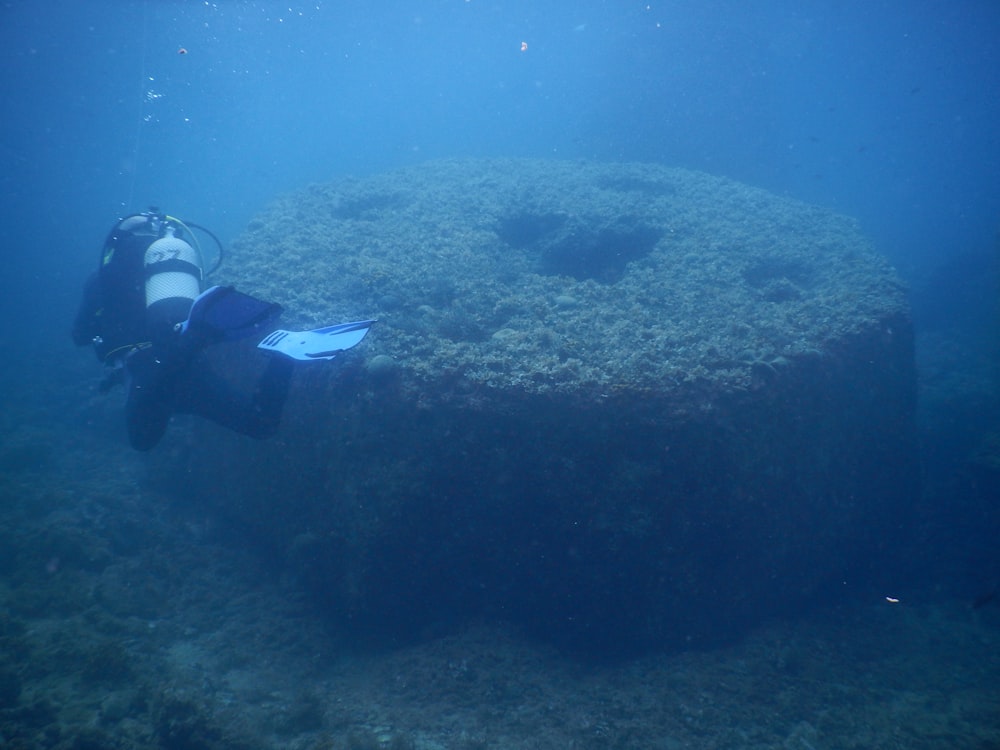 man diving underwater near round structure