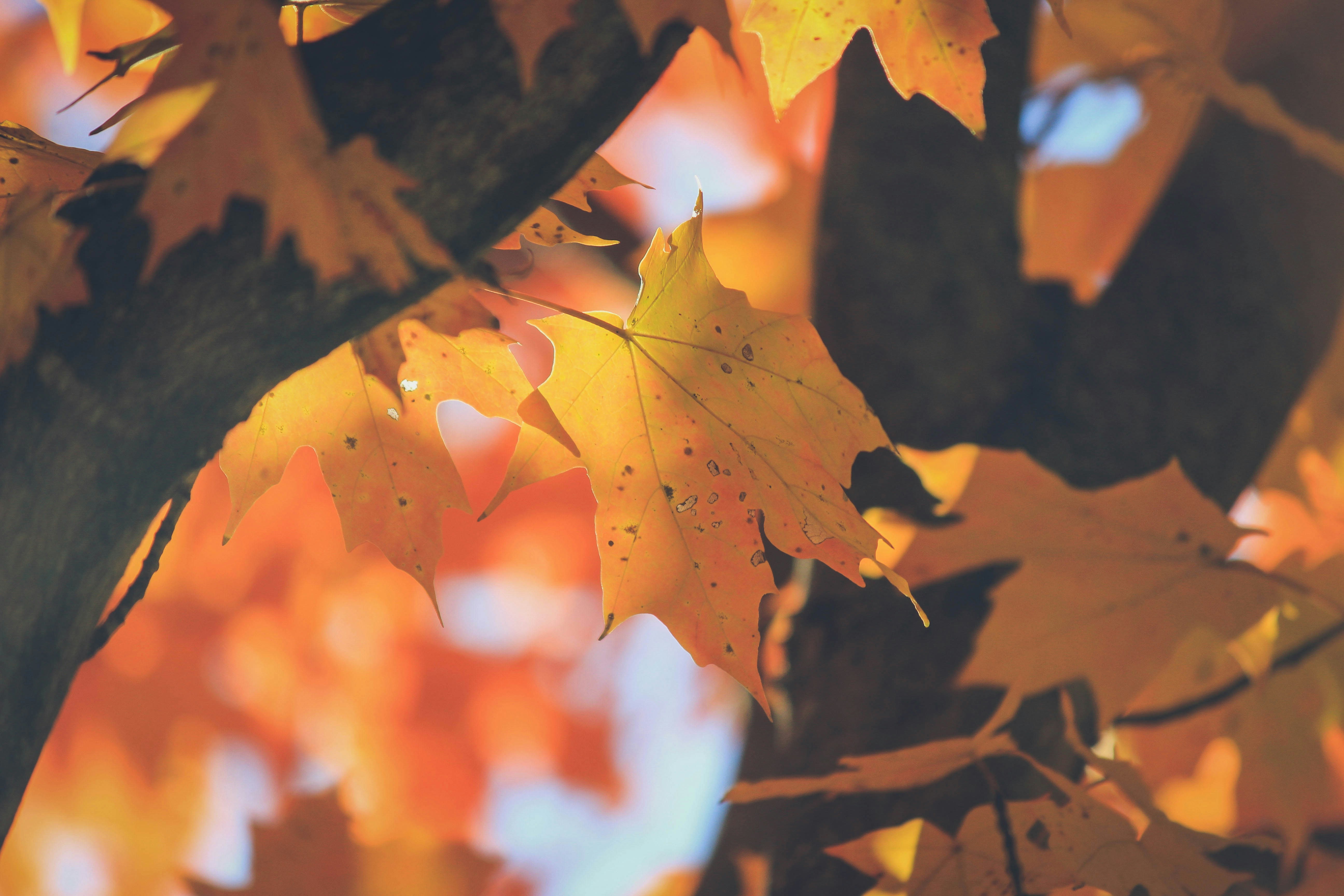 Photo by jessicalfadel