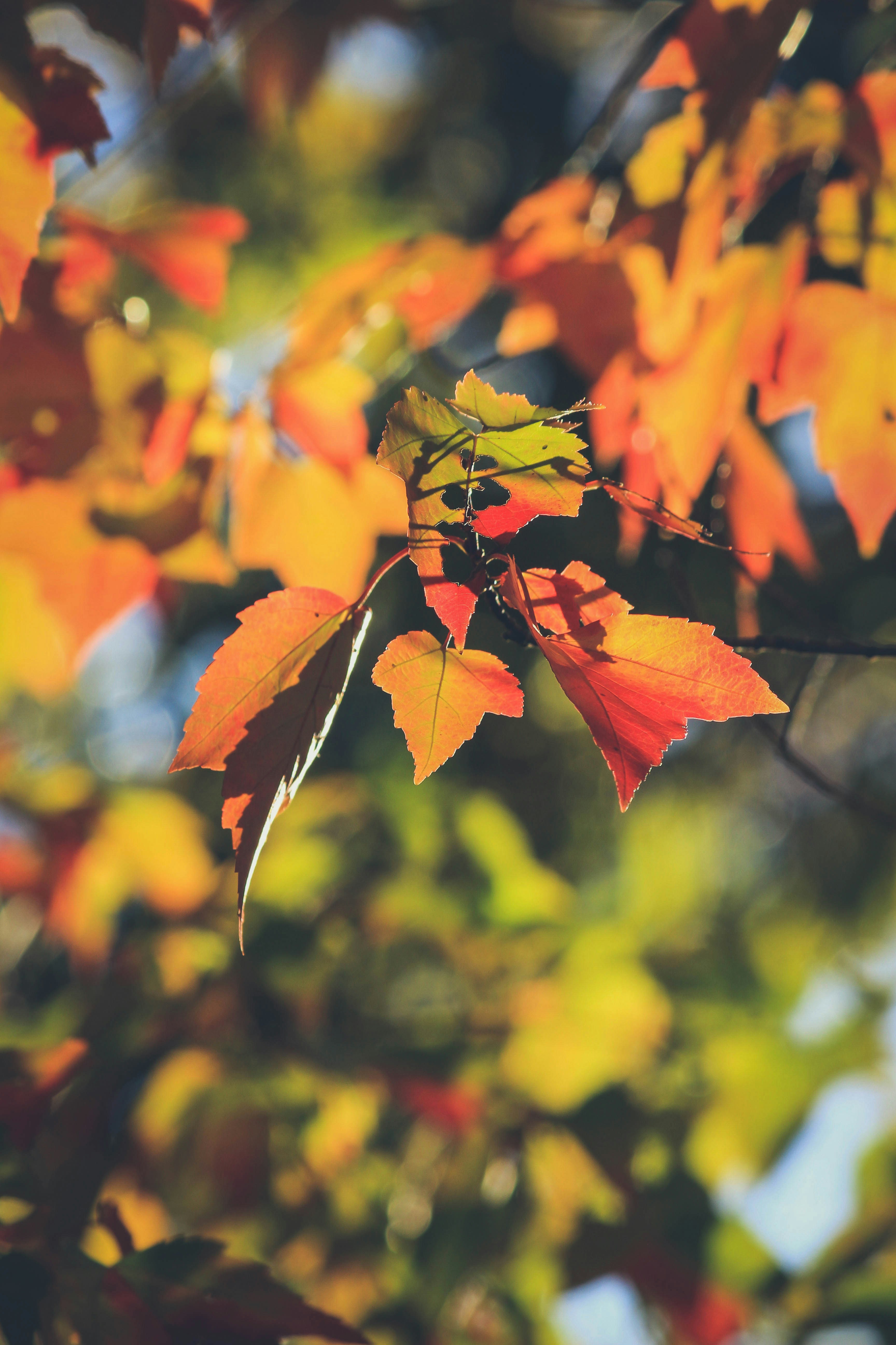 Photo by jessicalfadel