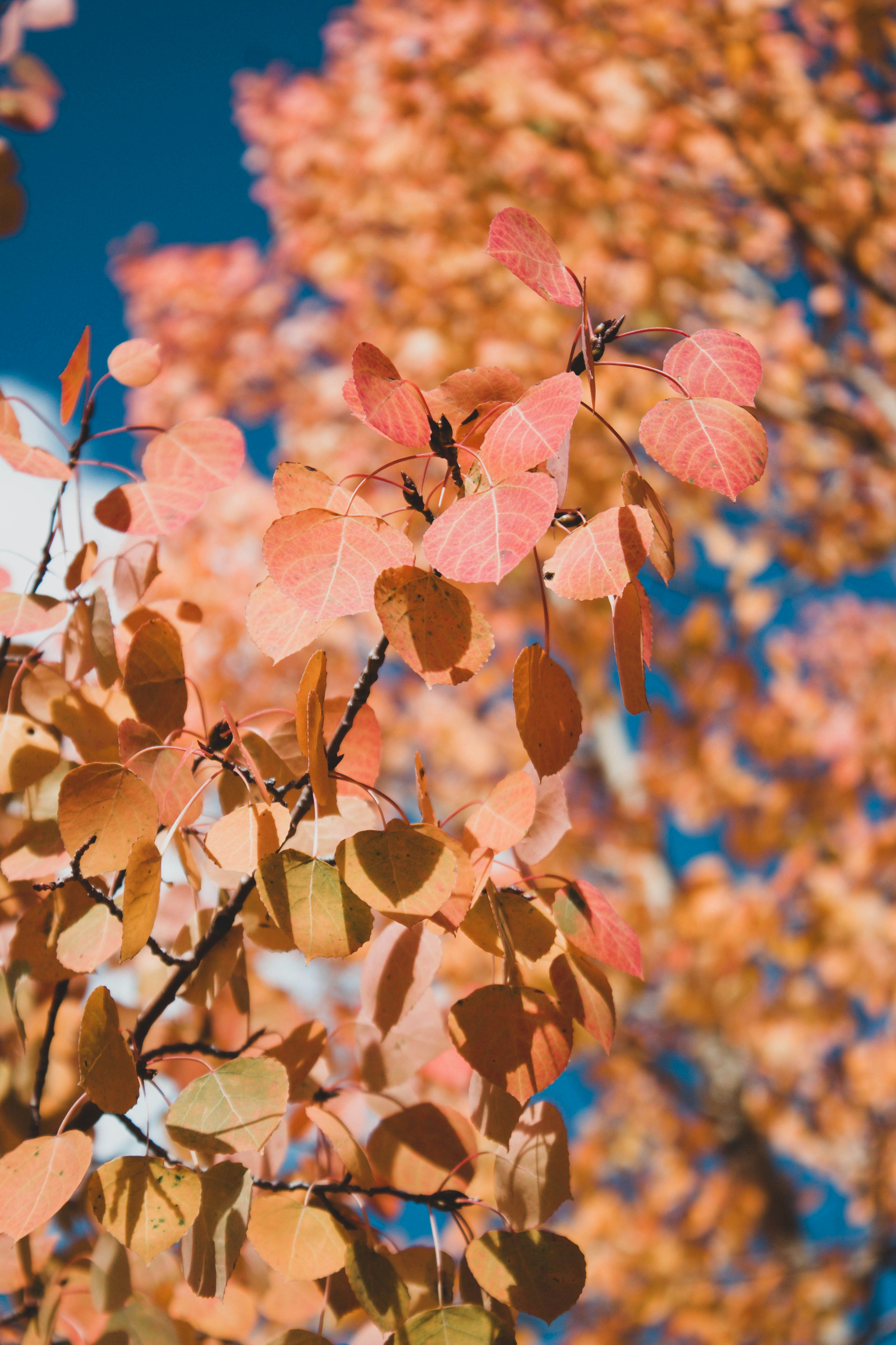 Photo by jessicalfadel