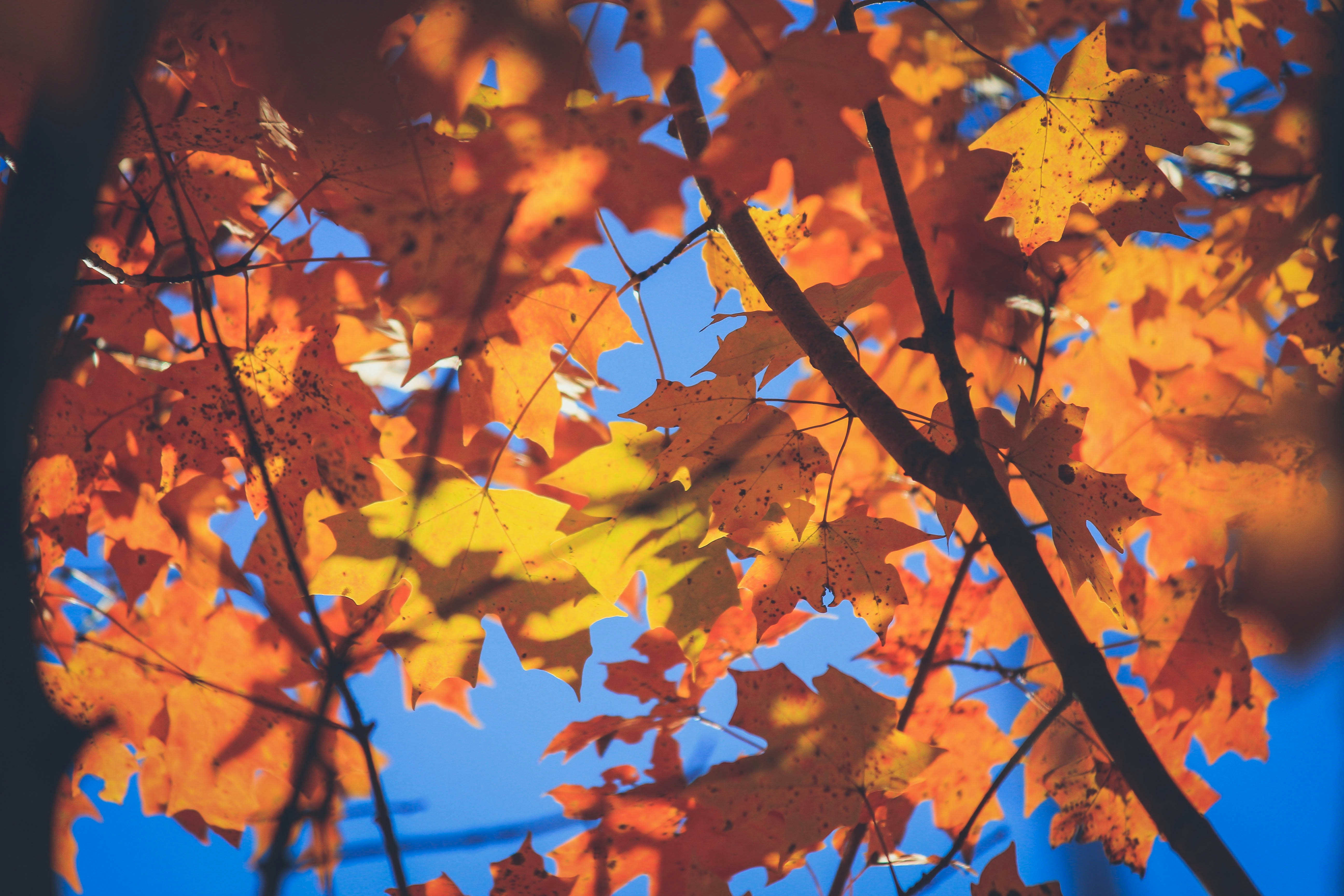 Photo by jessicalfadel