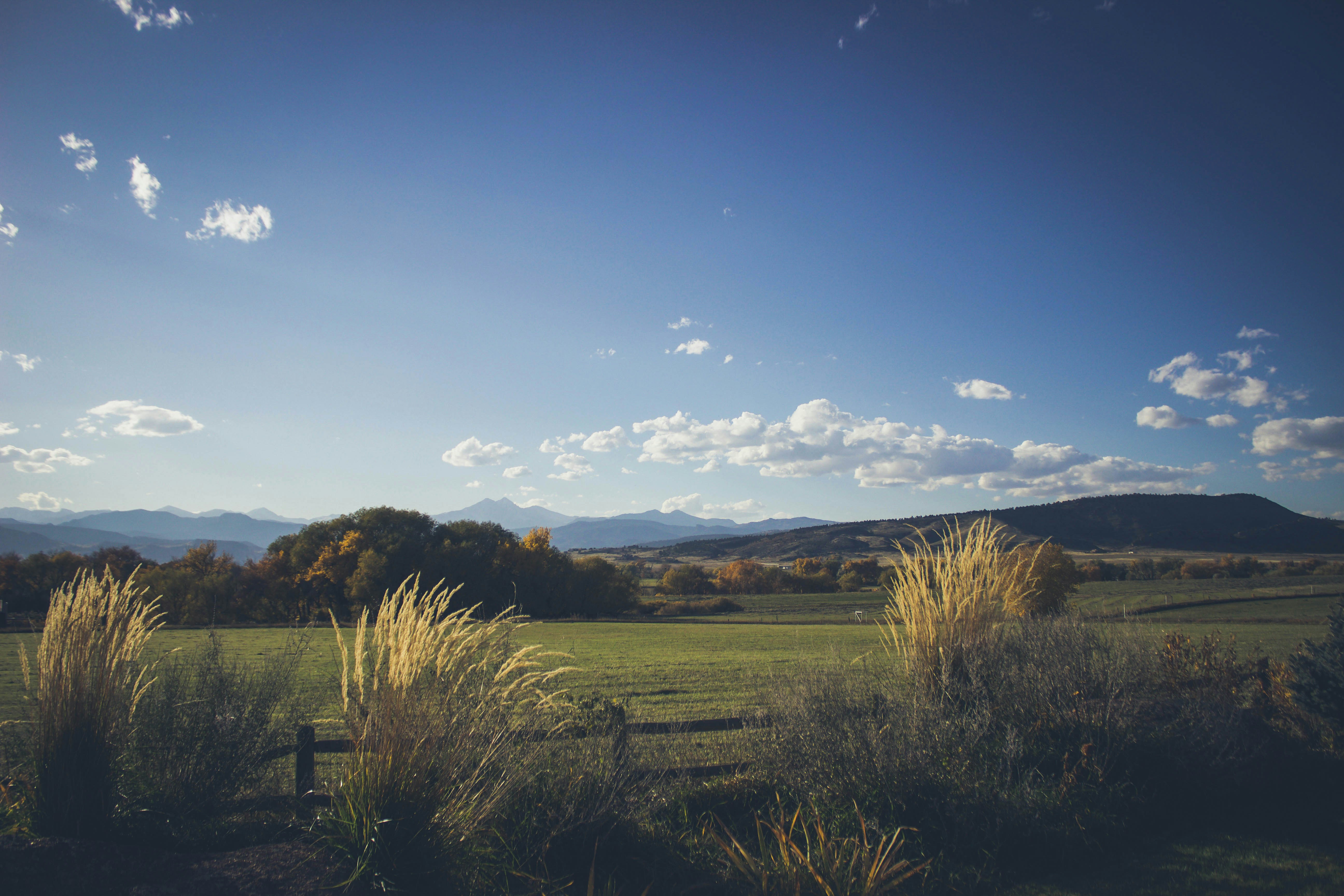 Photo by jessicalfadel