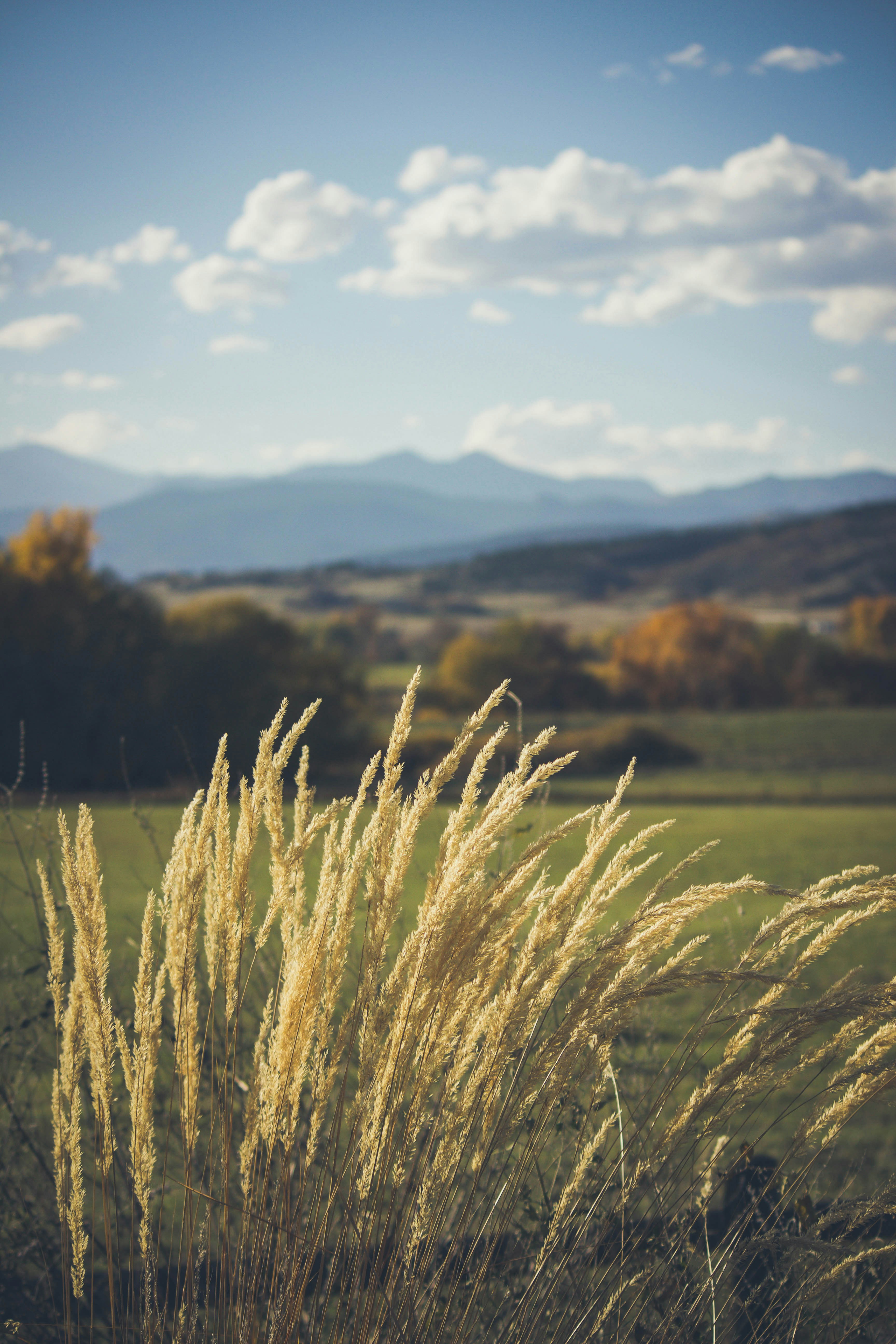 Photo by jessicalfadel