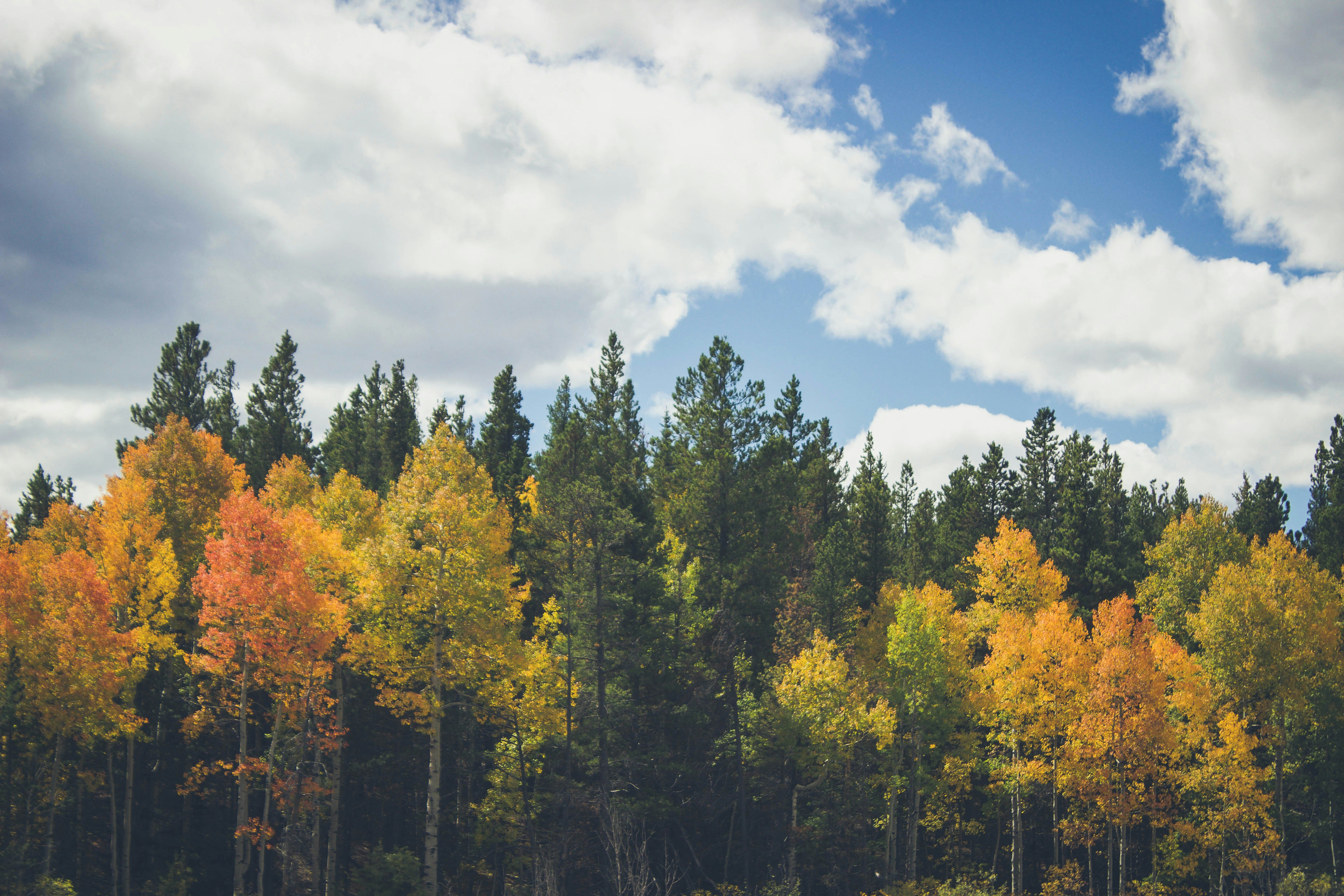 Photo by jessicalfadel