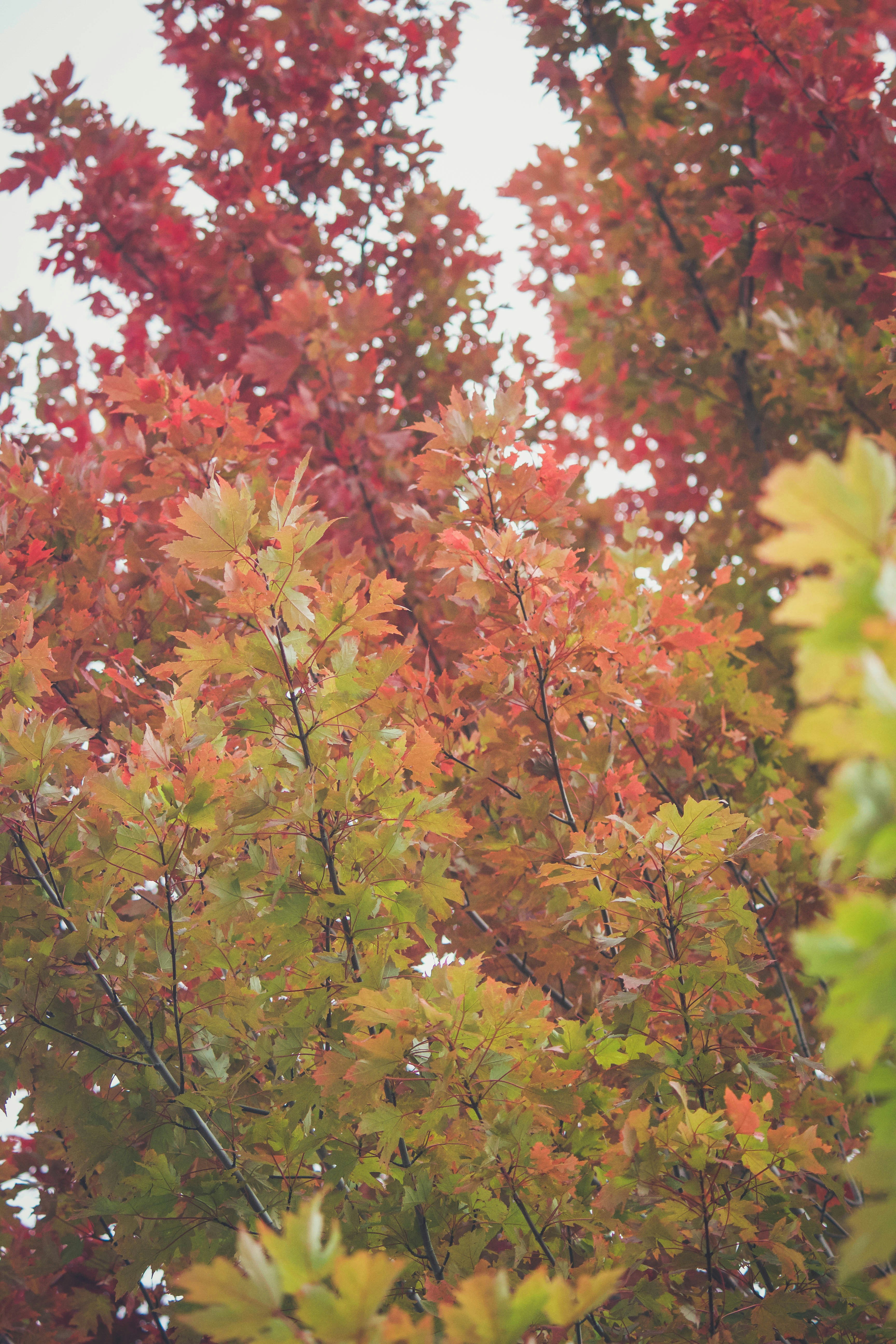 Photo by jessicalfadel