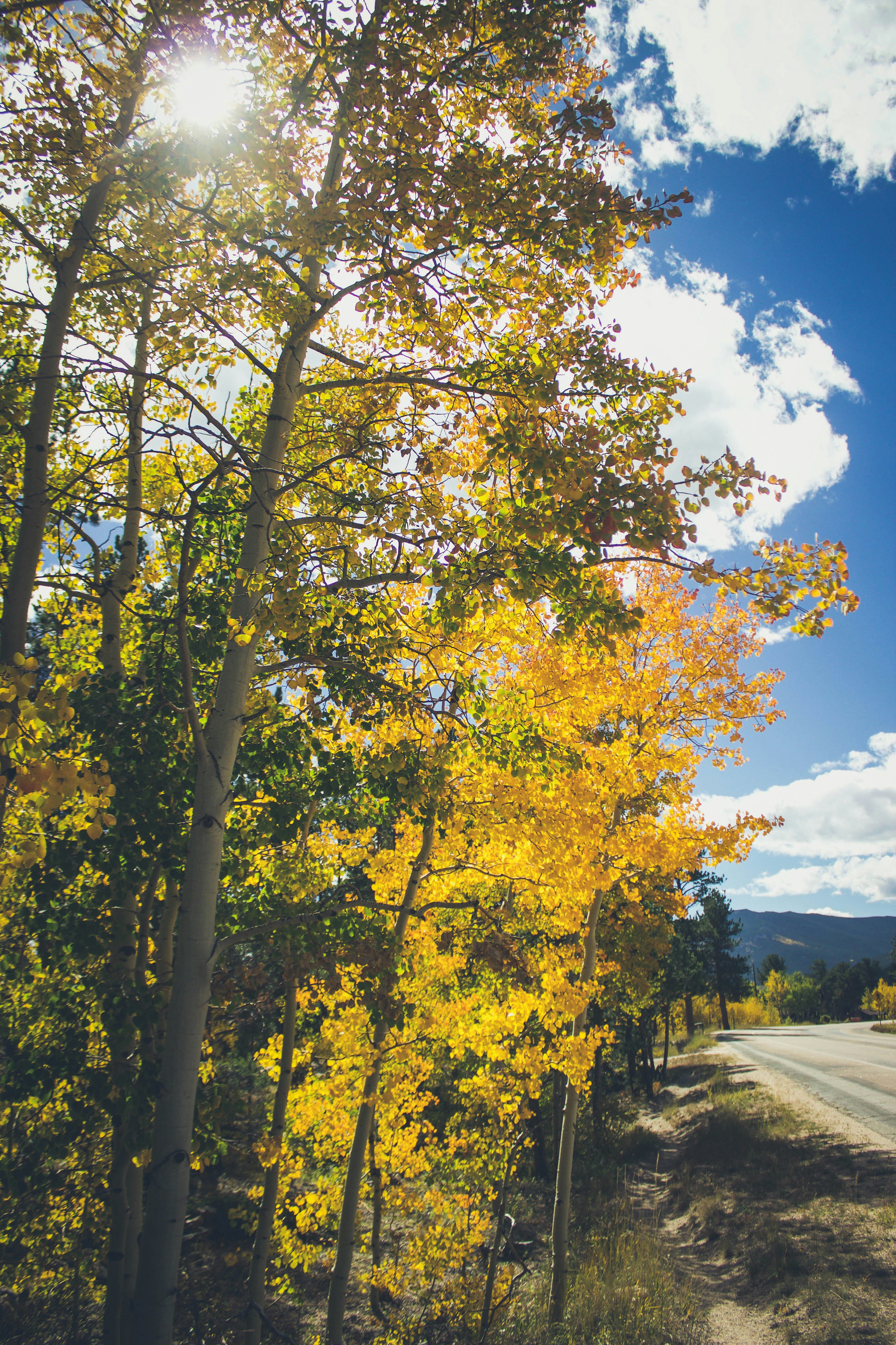 Photo by jessicalfadel