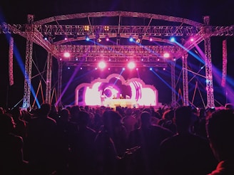 Vibrant crowd at a music tour concert with colorful stage lighting
