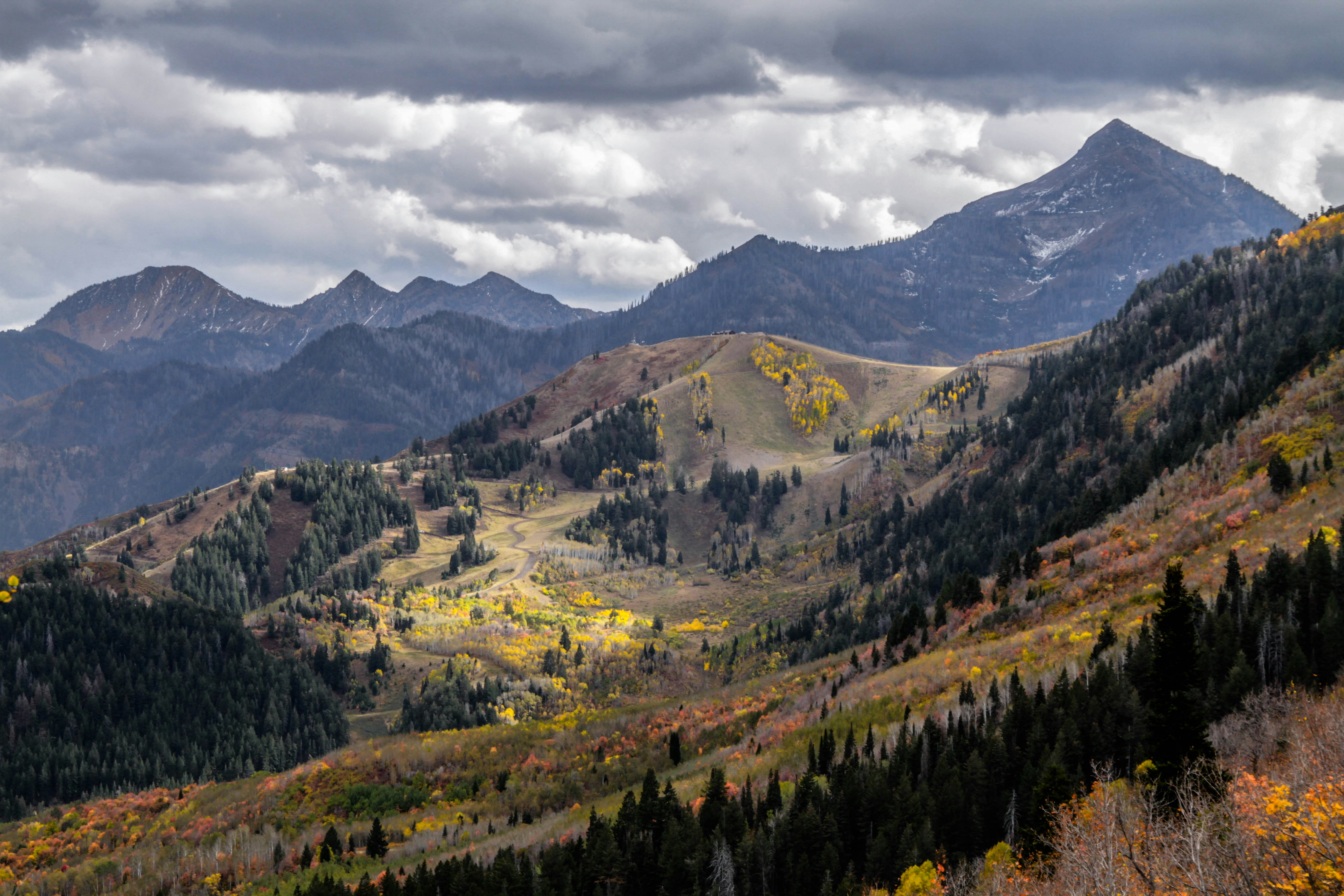 Photo by platypussdown