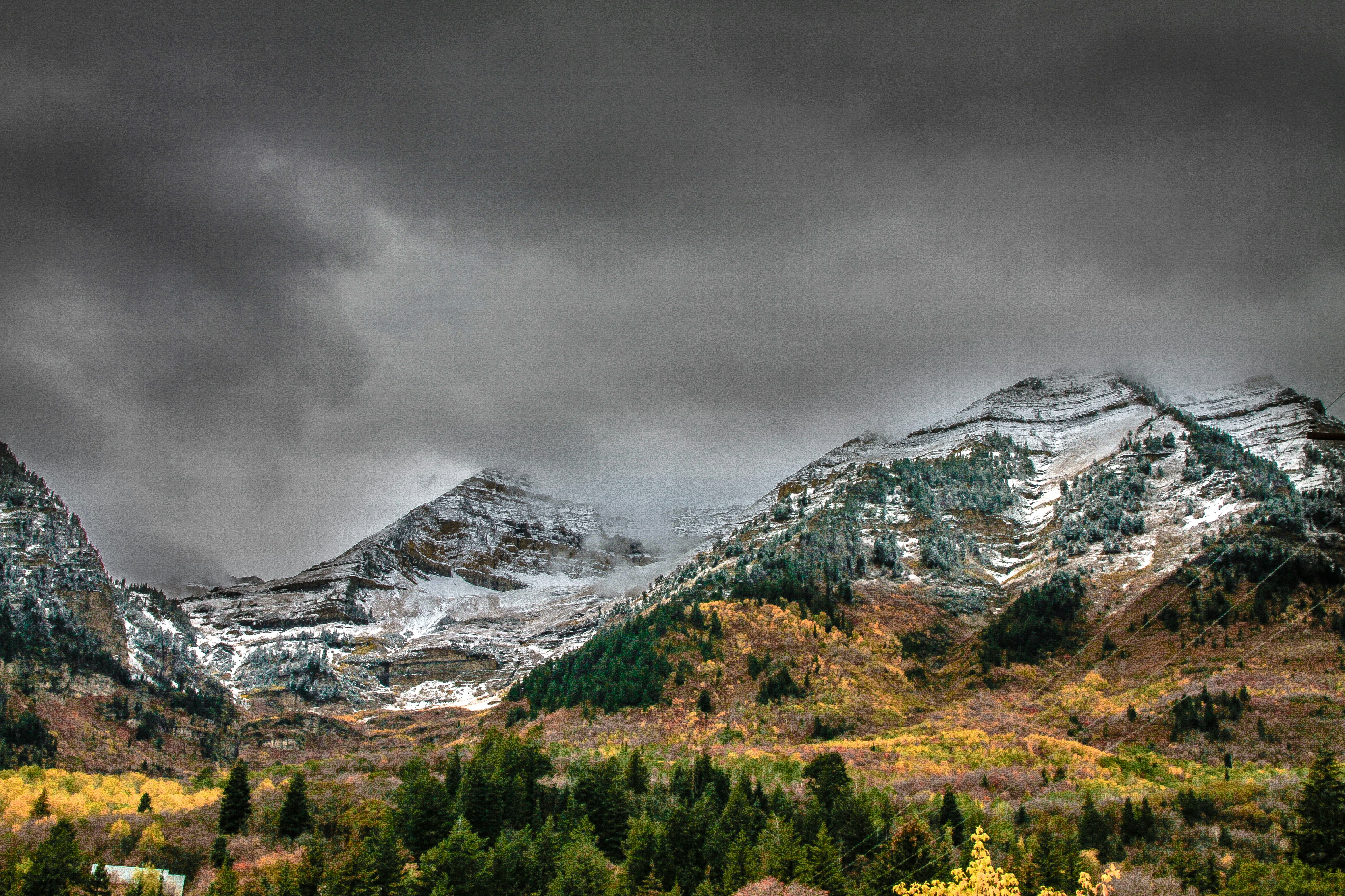 Photo by platypussdown