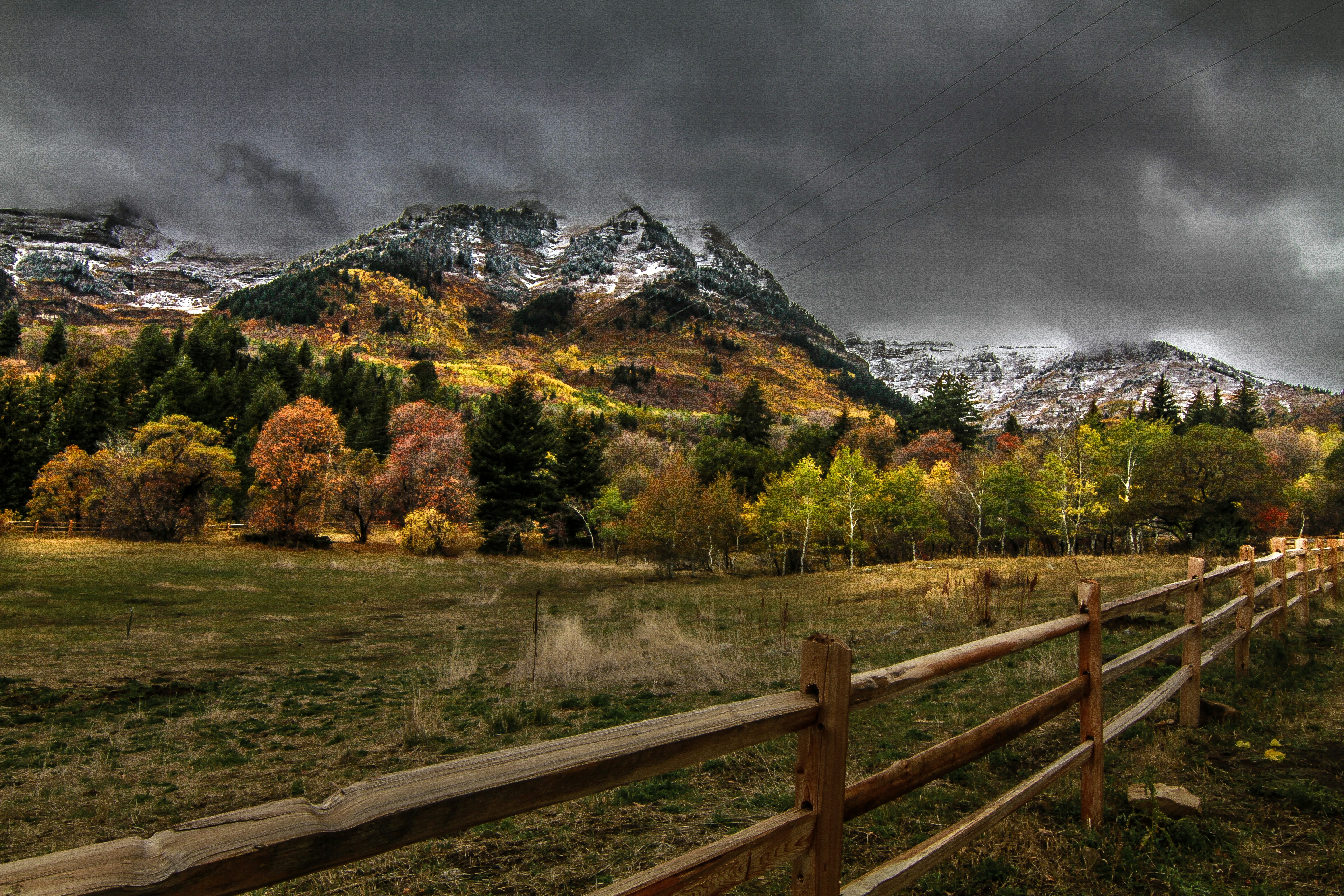 Photo by platypussdown