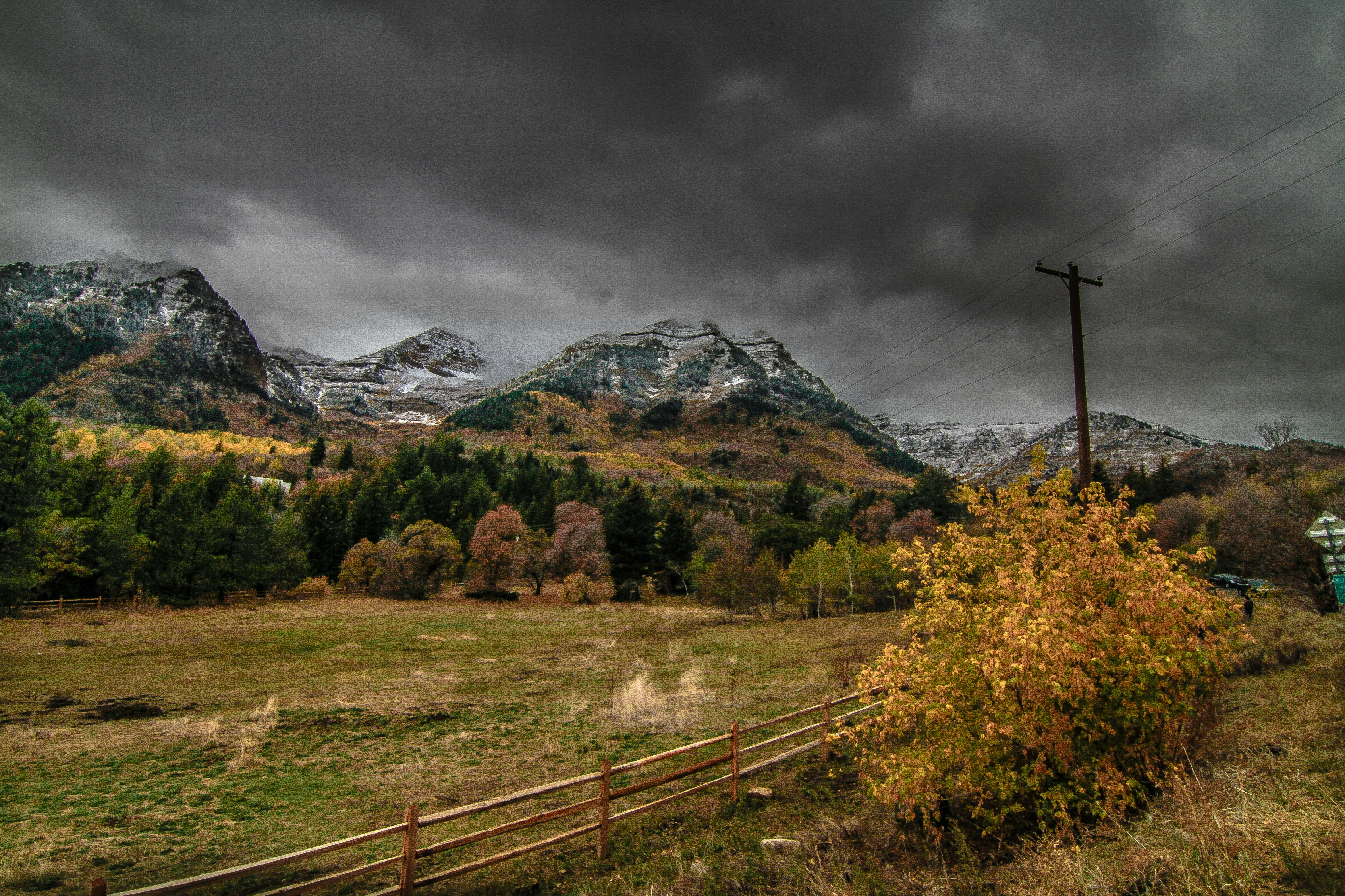 Photo by platypussdown