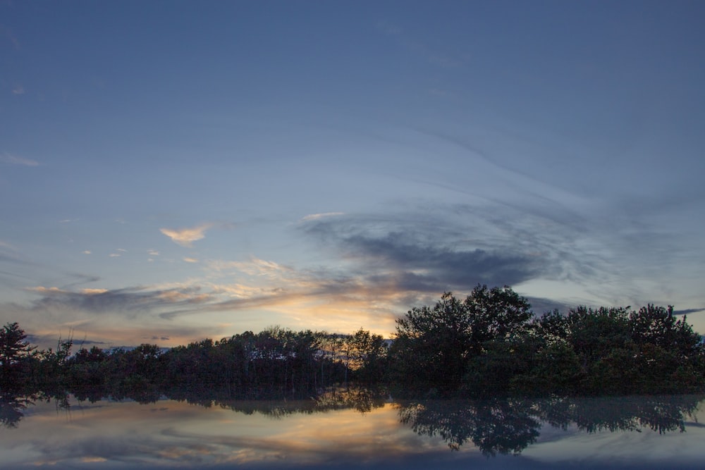 body of water near trees at daytime