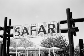 grayscale photography of safari signage