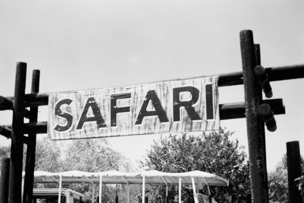 fotografia in scala di grigi della segnaletica safari