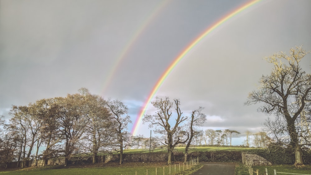 rainbow photography