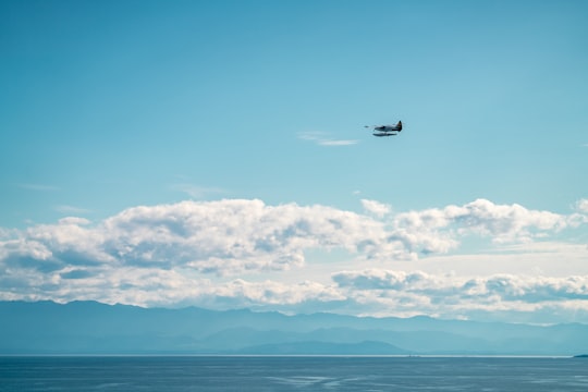 white and black airplane flying above sea during daytime in Victoria Canada