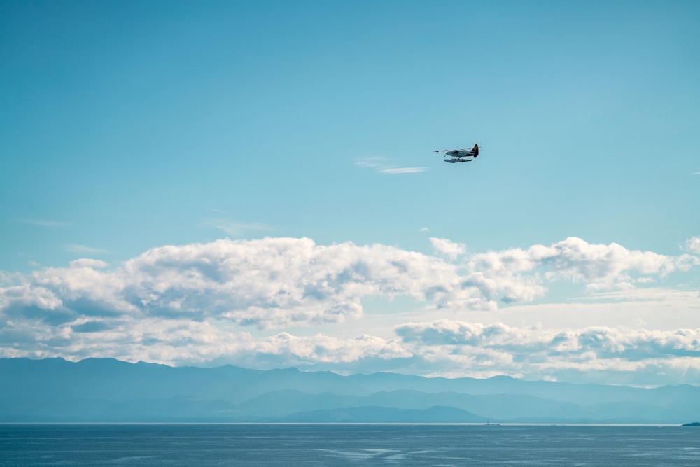 white and black airplane flying above sea during daytime