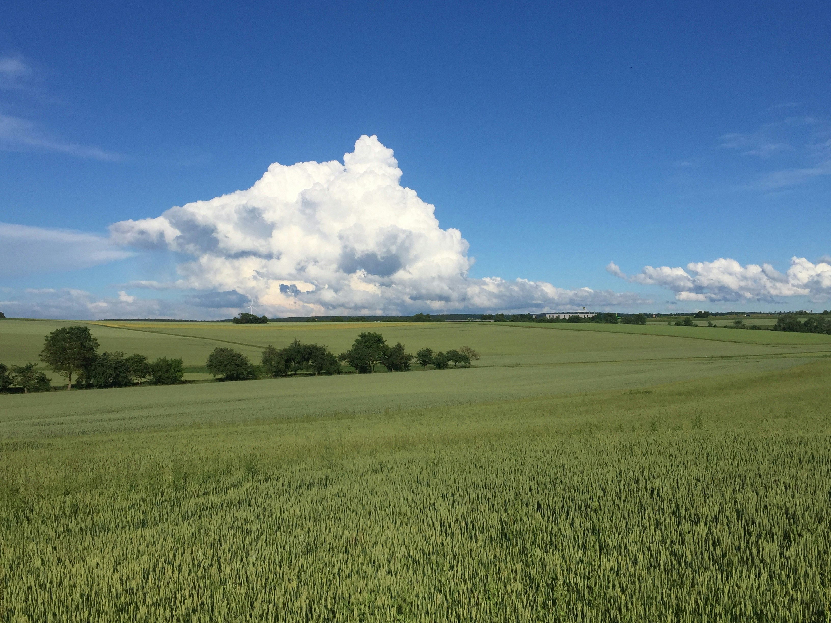 Photo by chrisbay101