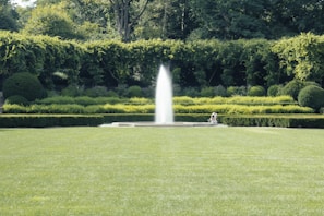 Well-maintained garden area with seating and lush greenery.