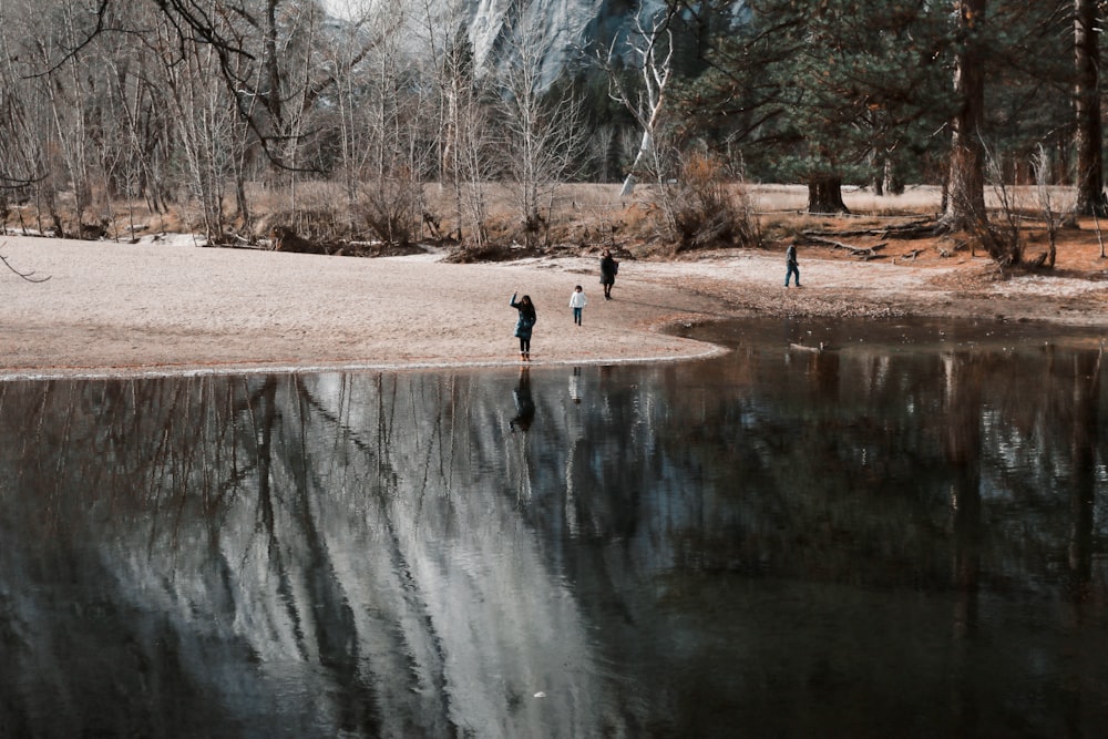 person standing beside lake