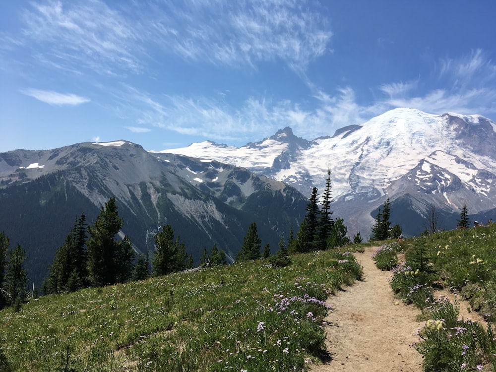 mountains covered with snow under blue sky