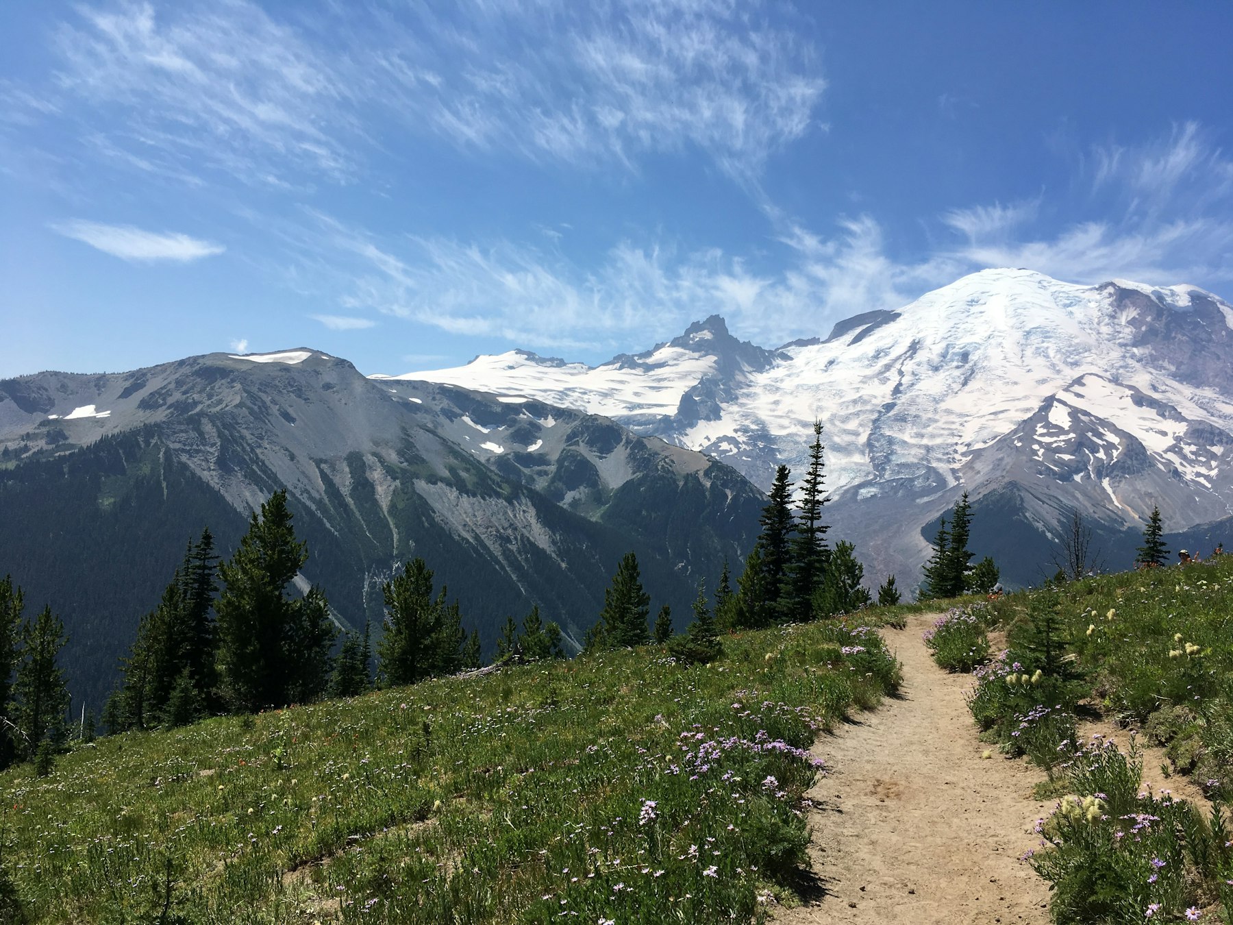 Trail through a wildflower meadow below Mount Rainier
