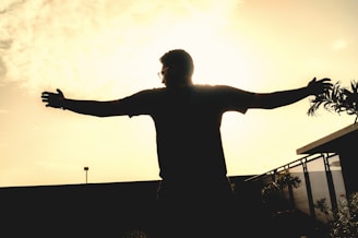 A silhouette of a person stands with arms outstretched against a bright, sunlit sky. The background includes a fence, some foliage, and a streetlamp, creating a sense of openness and freedom.