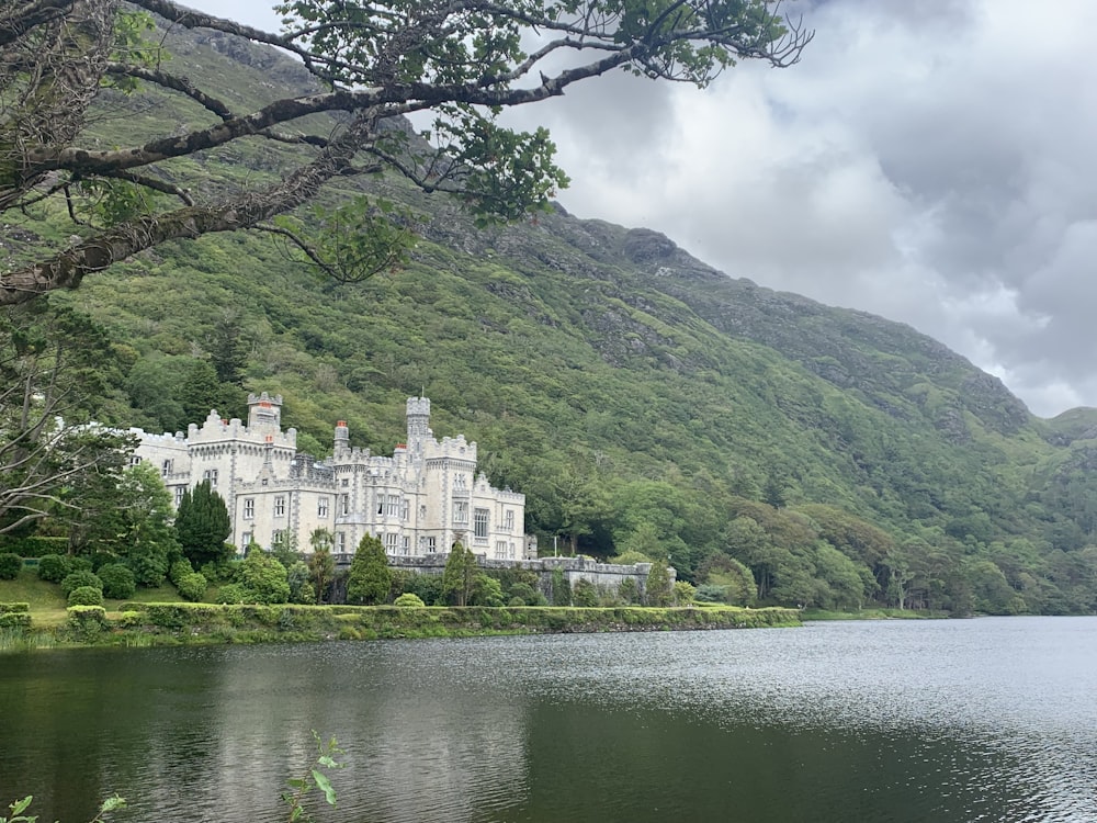 white concrete castle surrounded by trees