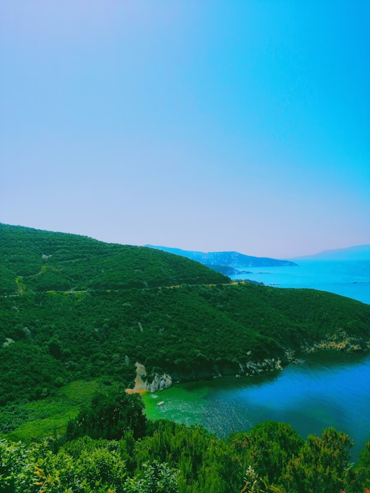 trees near lake in Balıkesir Turkey