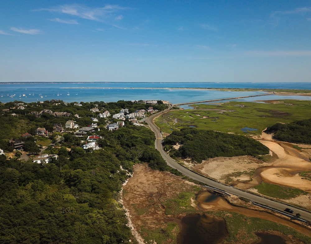 aerial photography of trees and body of water