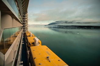 A large cruise ship is shown from a side view, with rows of yellow lifeboats attached to its side. The ship is traveling through icy waters, with small icebergs visible in the calm sea. In the distance, misty mountains rise under a cloudy sky, creating a serene and tranquil atmosphere.