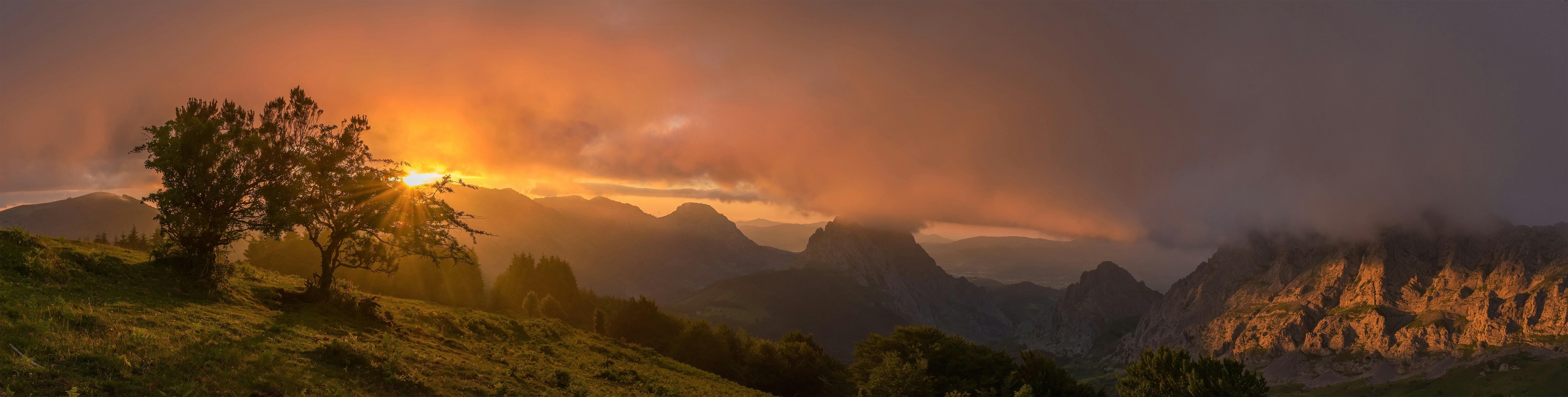 Photo by acasphotography