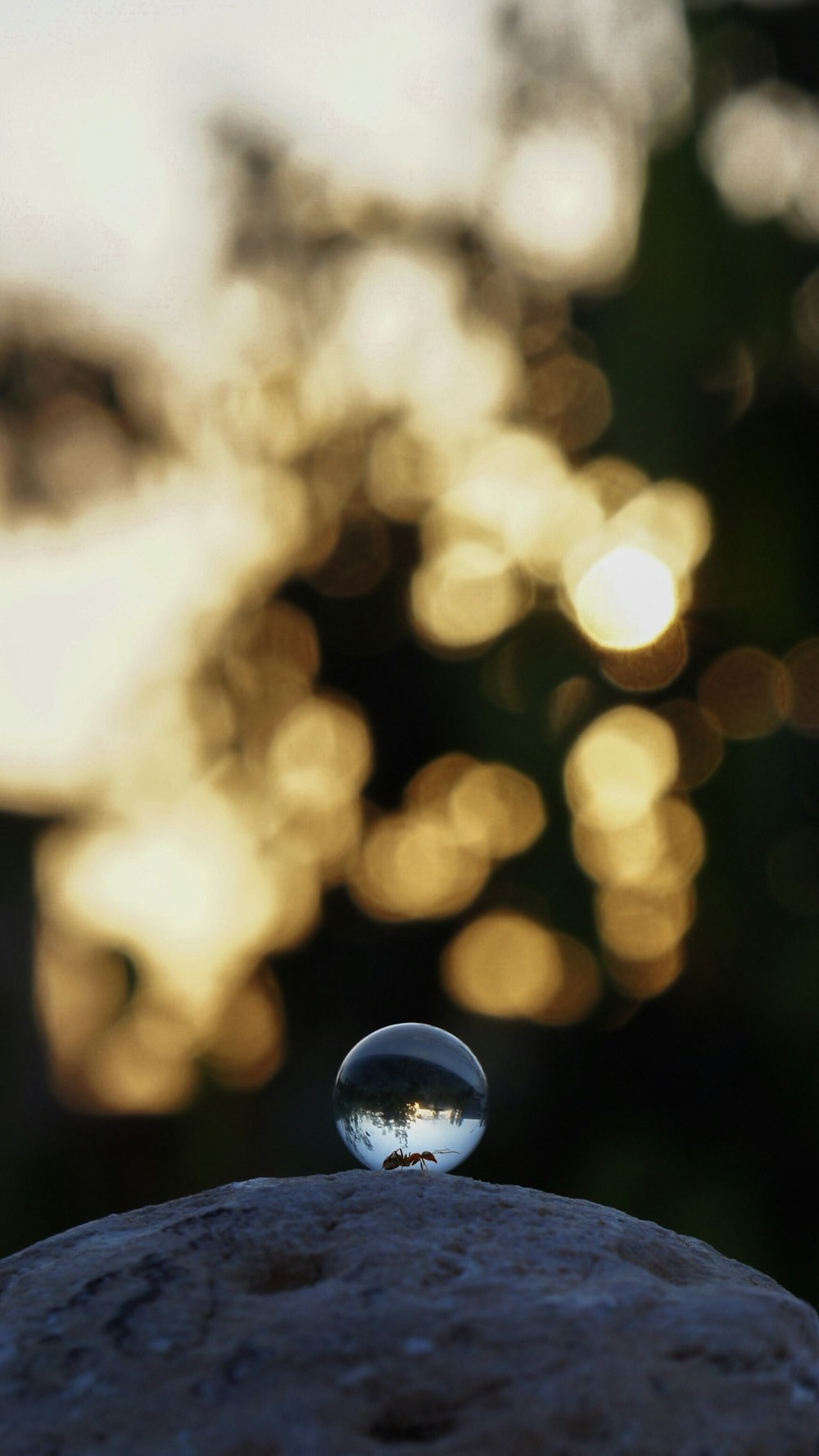 a water droplet sitting on top of a rock