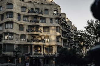 building near tree