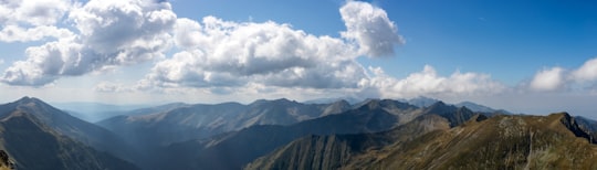 green mountain in Moldoveanu Peak Romania