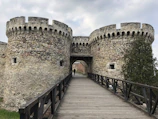 gray stone castle