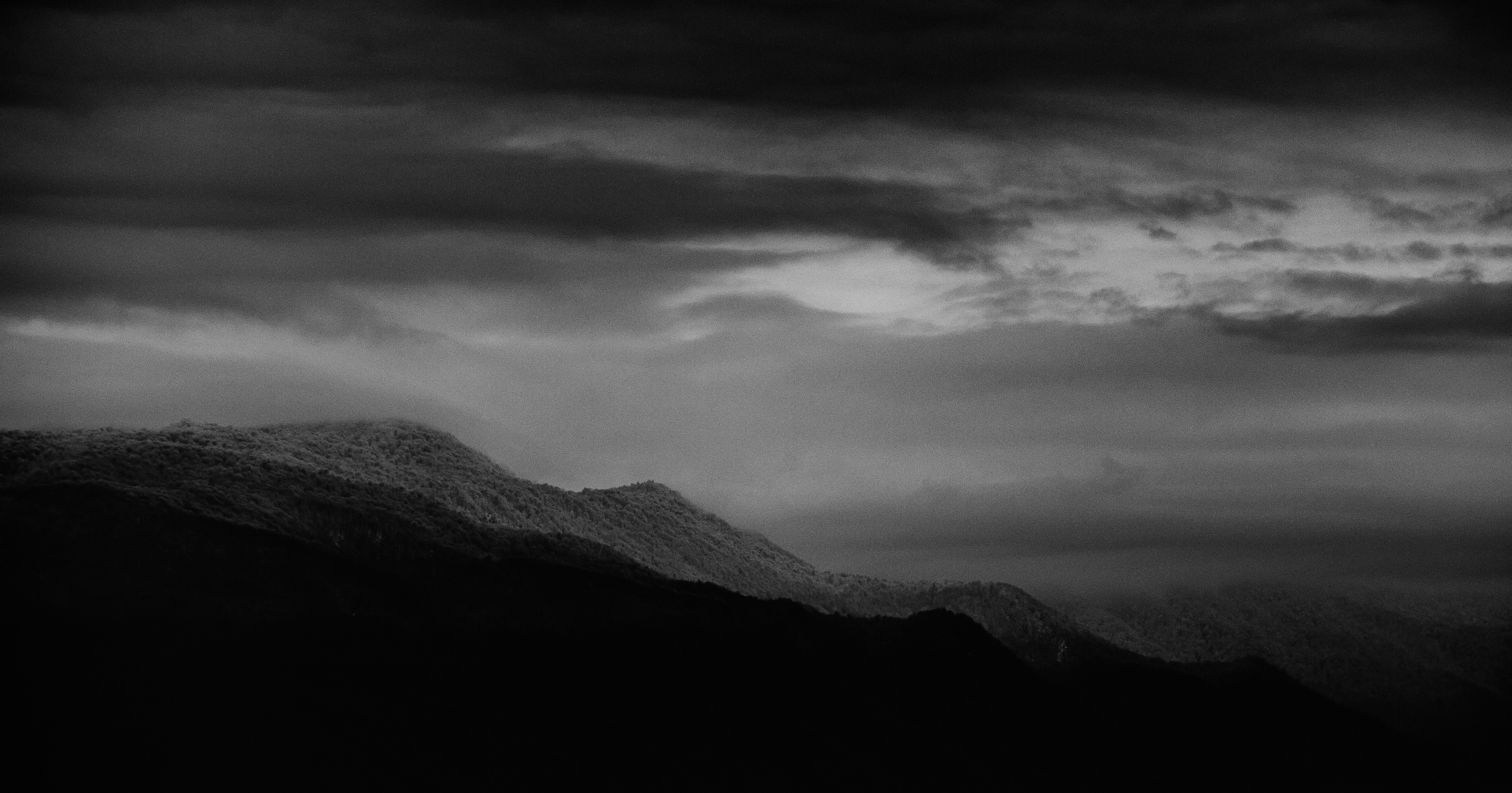 Photo by farzaadboshtavaei