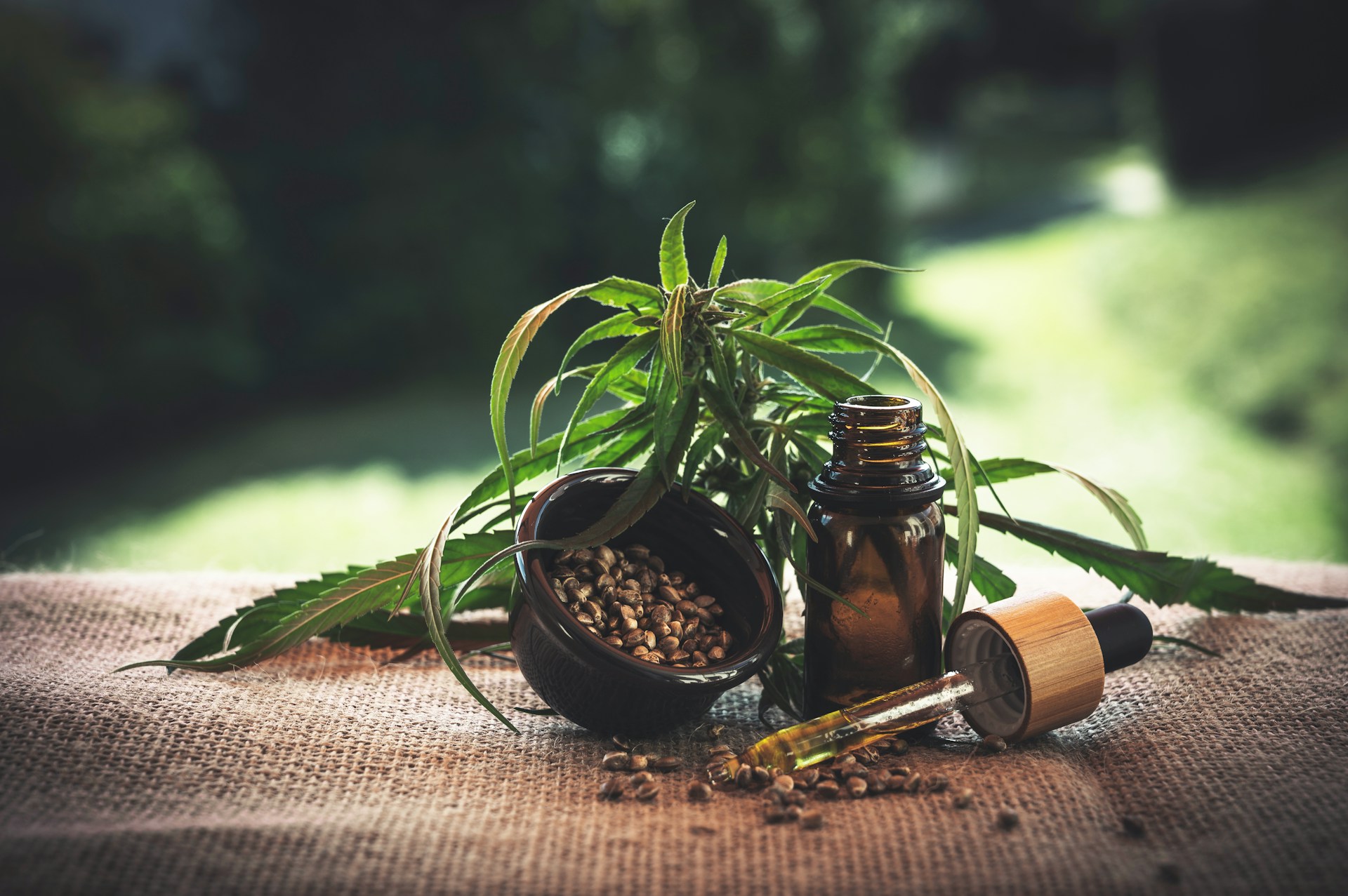 green-leafed plant