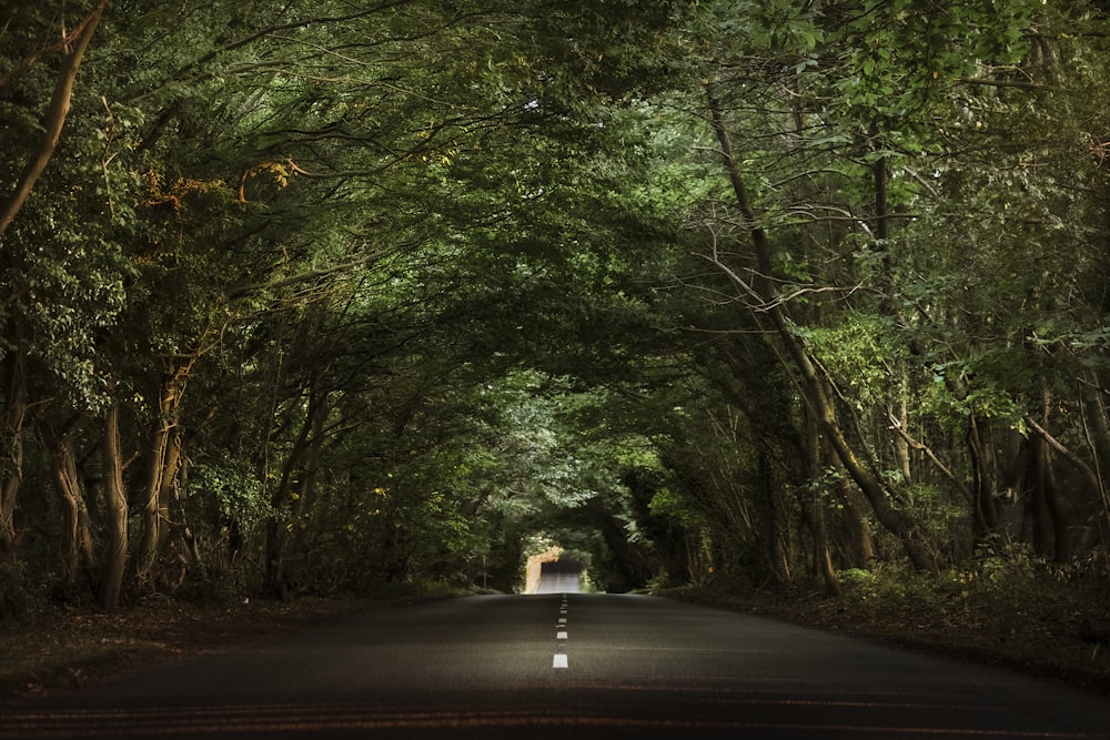 アスファルト道路の写真