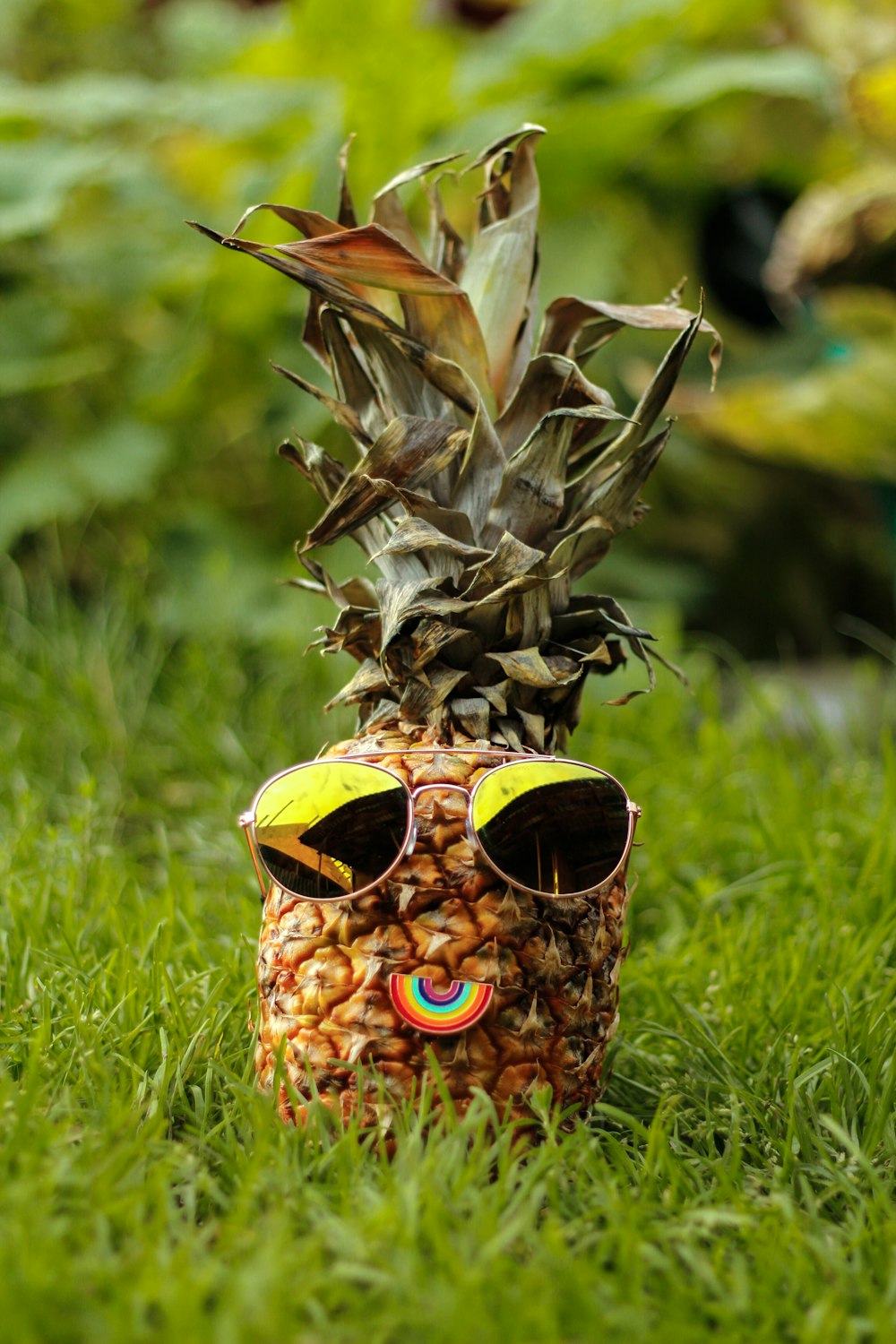 pineapple wearing sunglasses on grass